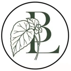 Begonia Ladies