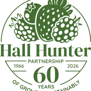 Hall Hunter Partnership