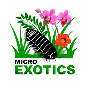 Micro Exotics