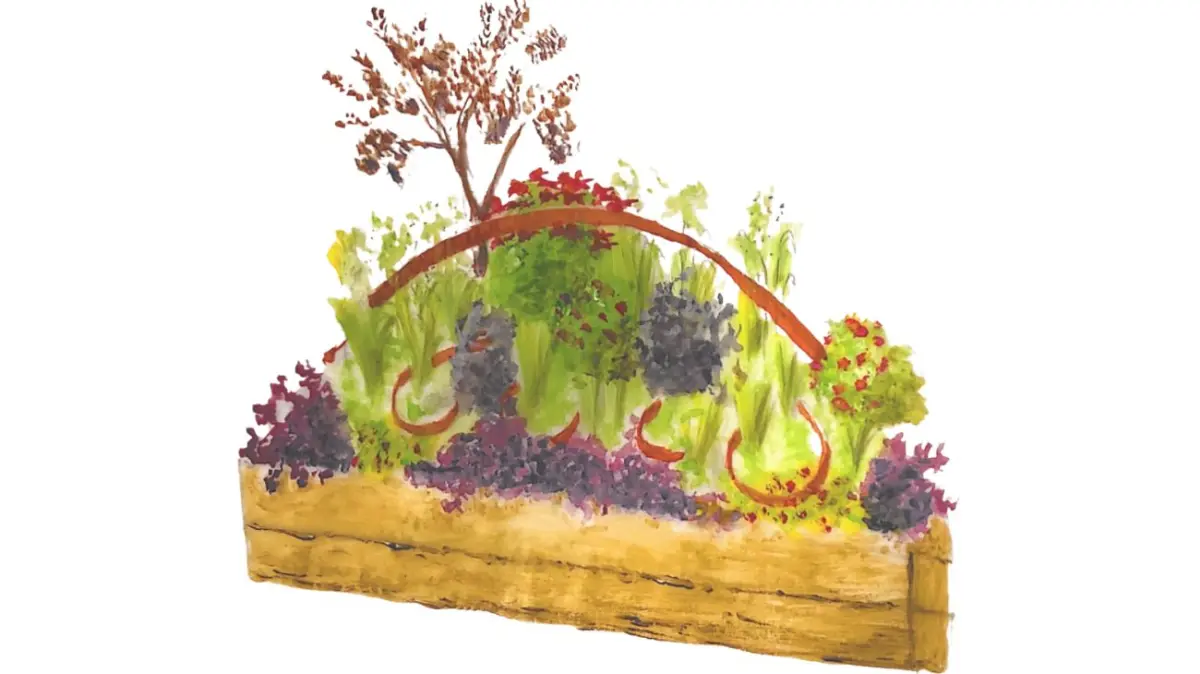 Summer holiday train adventures…