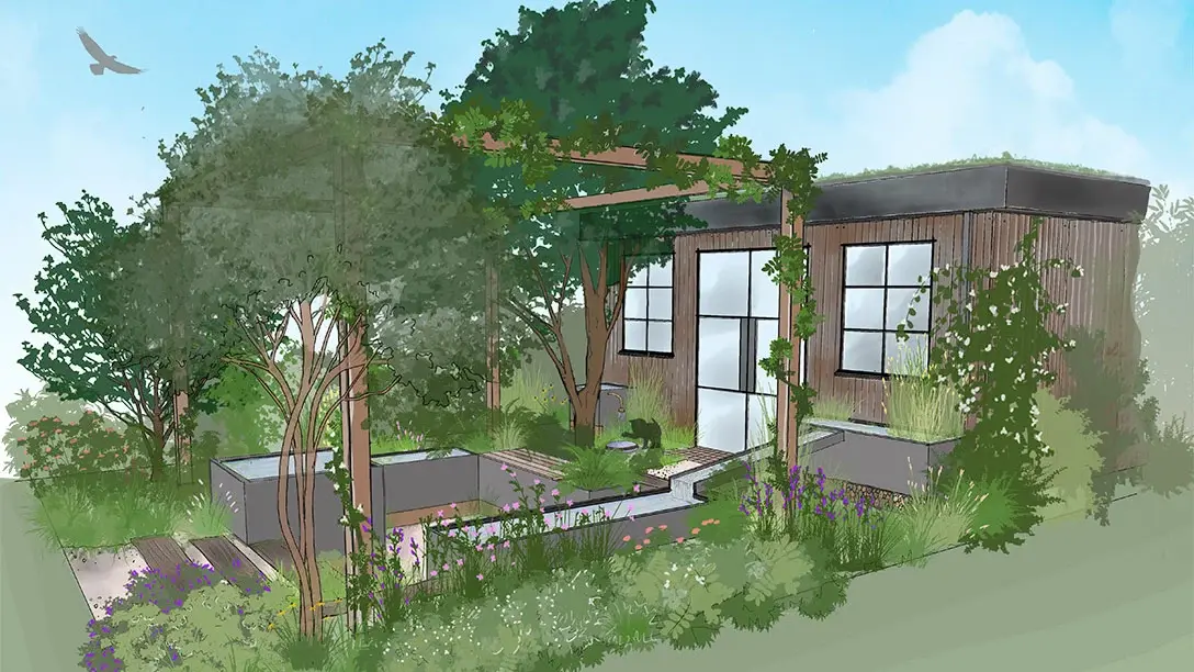 The Rhythm of Rainwater