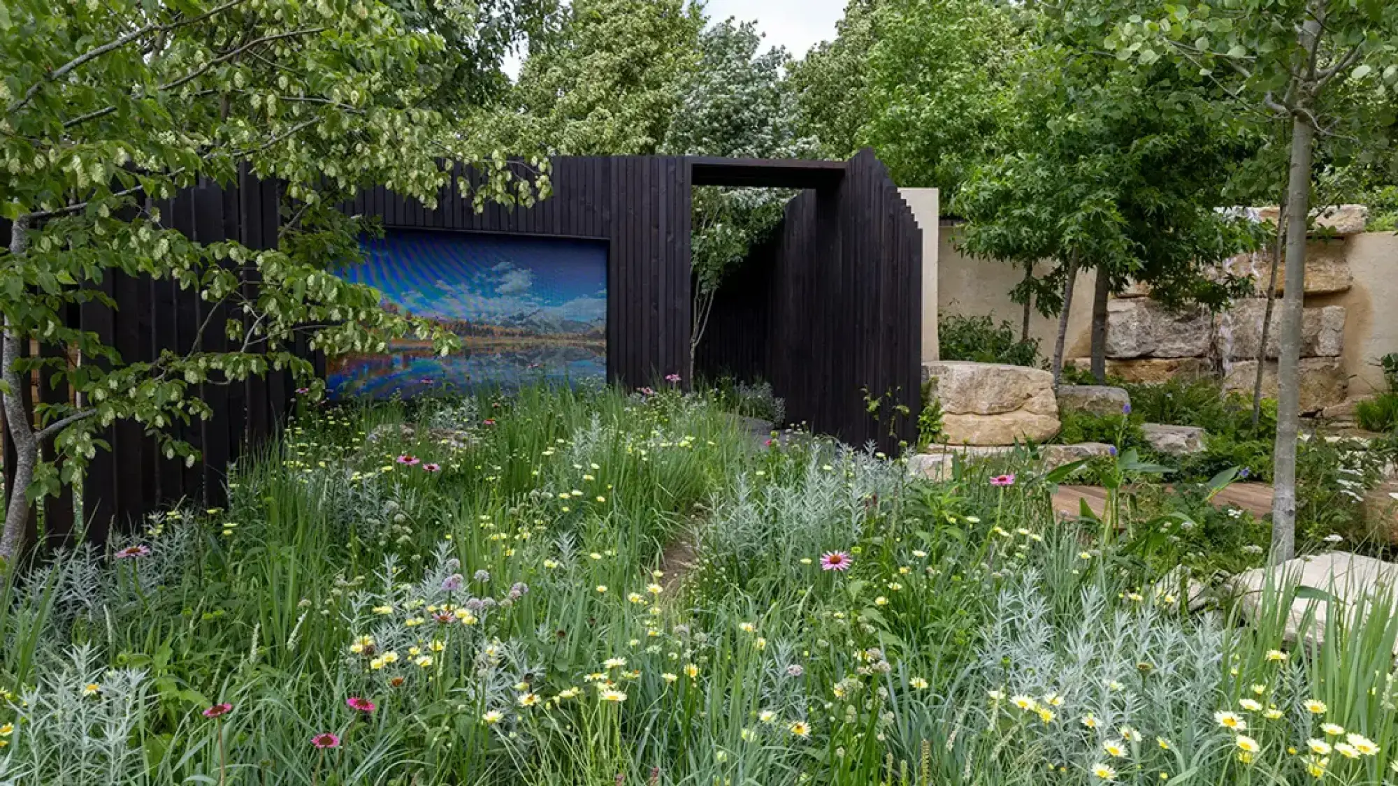 A modern naturalistic garden features a black timber wall with a digital landscape screen, a wildflower meadow, a rockery waterfall, and a wooden path.