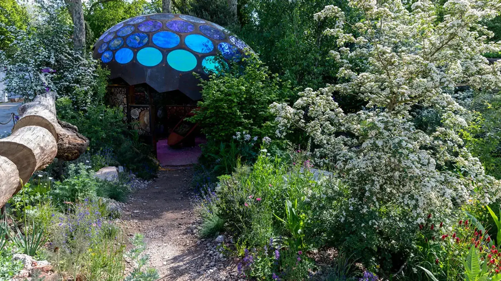 A gravel path leads towards a dark, domed structure with luminous blue circular panels, surrounded by a white flowering tree, lush green foliage, and various wildflowers.