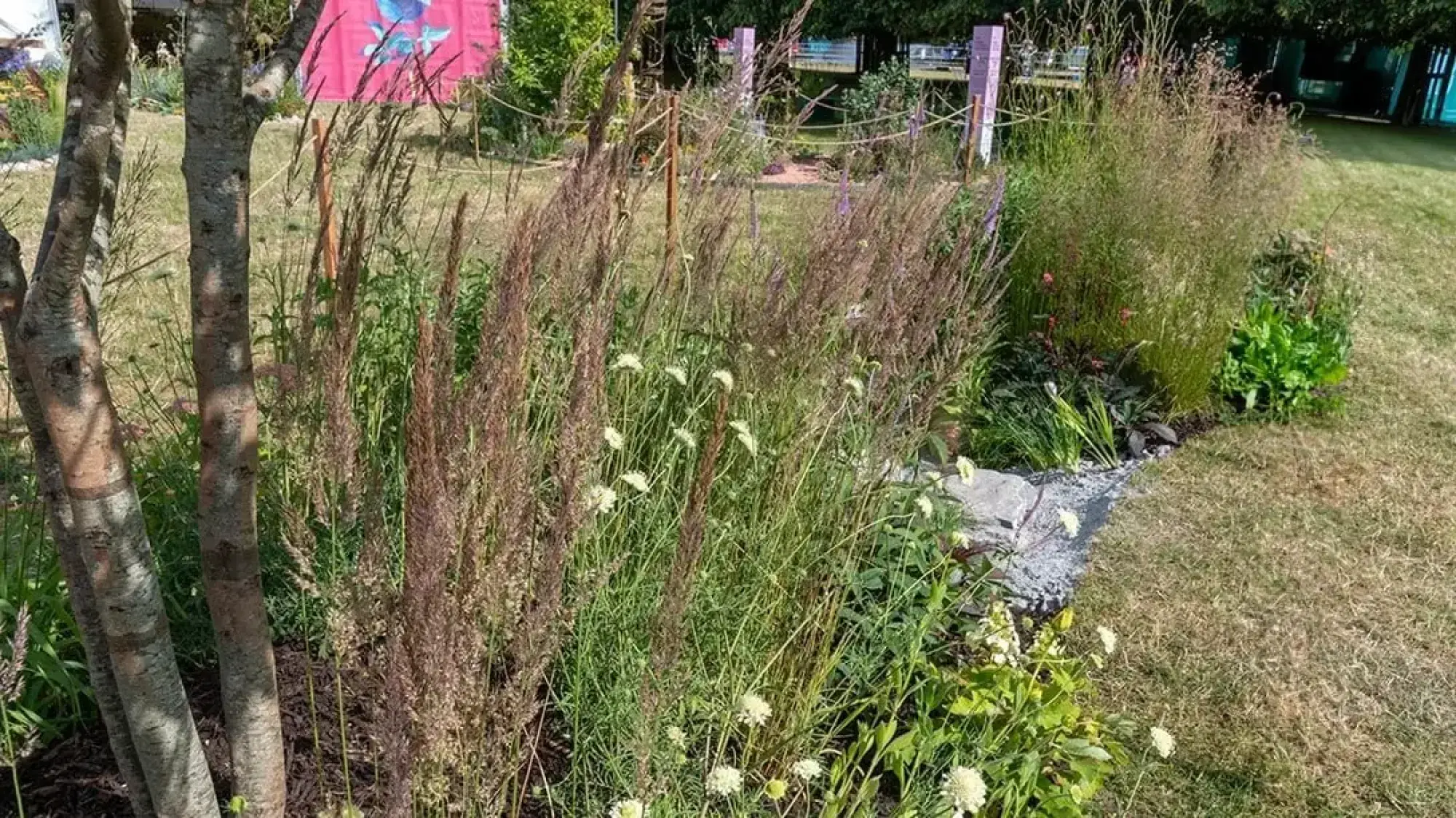 A naturalistic pocket raingarden features tall ornamental grasses, white flowers, and lush green perennials flanking a grey gravel dry river bed.