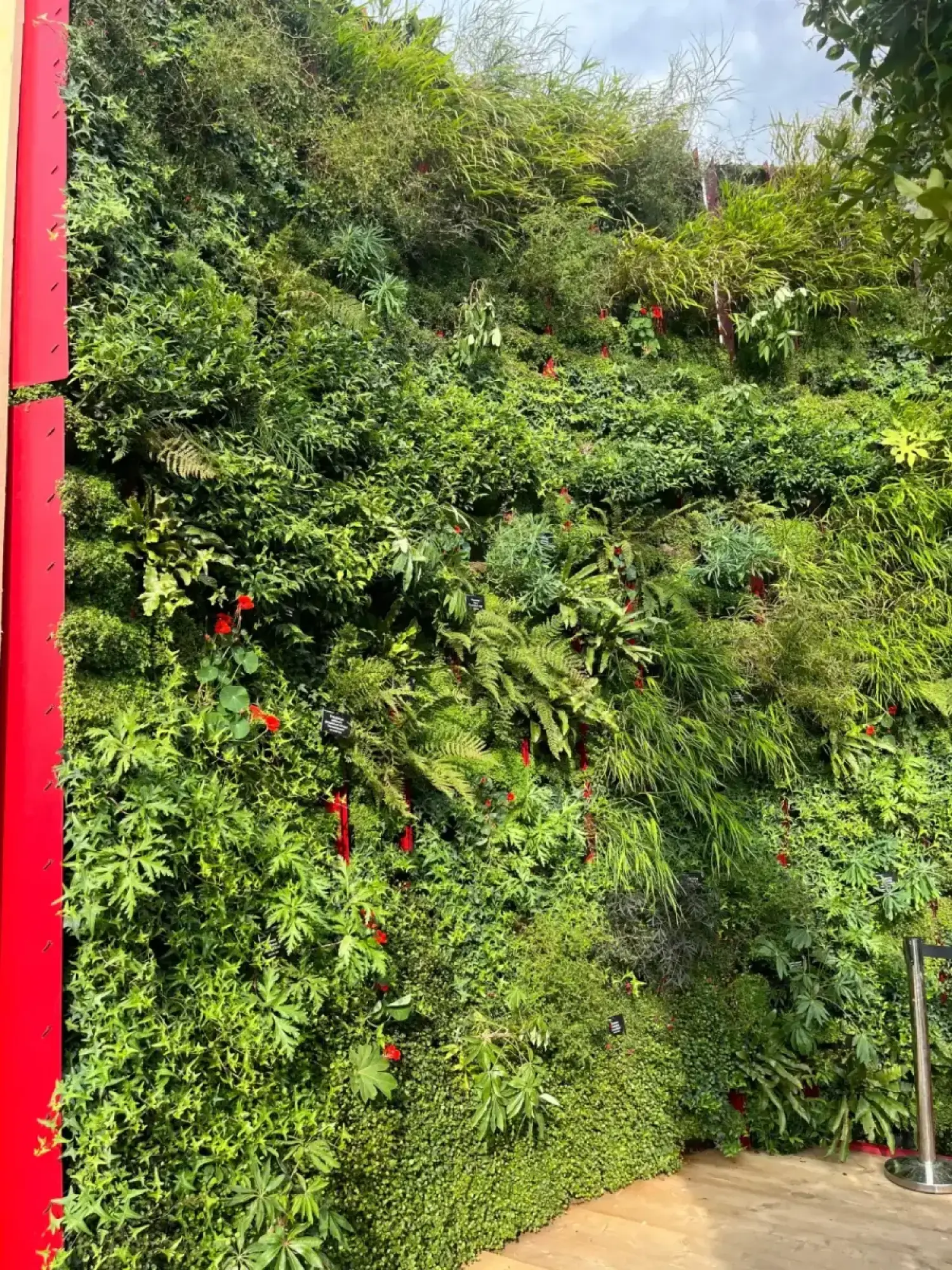A vibrant living wall garden features diverse green foliage, ferns, grasses, red flowers, and bold red vertical structural elements.