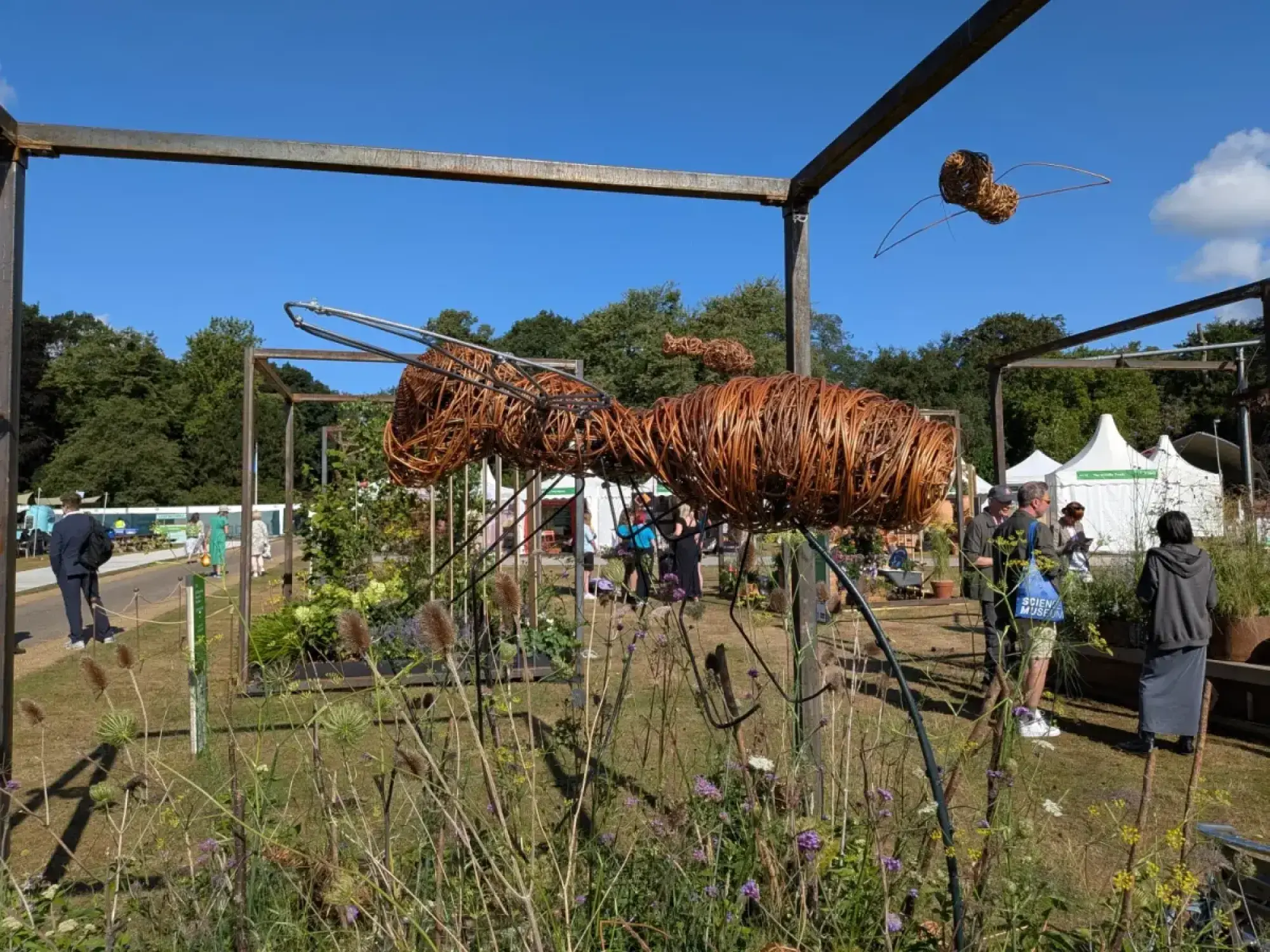 A Cube Garden features a giant woven willow hoverfly sculpture hovering over a naturalistic planting of wildflowers and tall grasses within rusted metal cube frames.