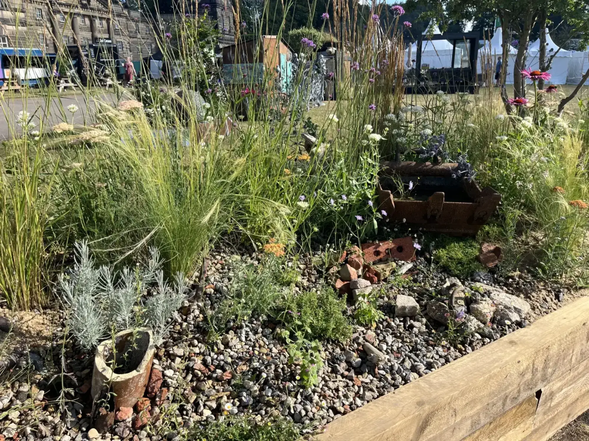 A long border garden featuring tall grasses, purple and pink wildflowers, and grey-leaved plants growing amongst gravel, broken bricks, and a rusty metal trough.