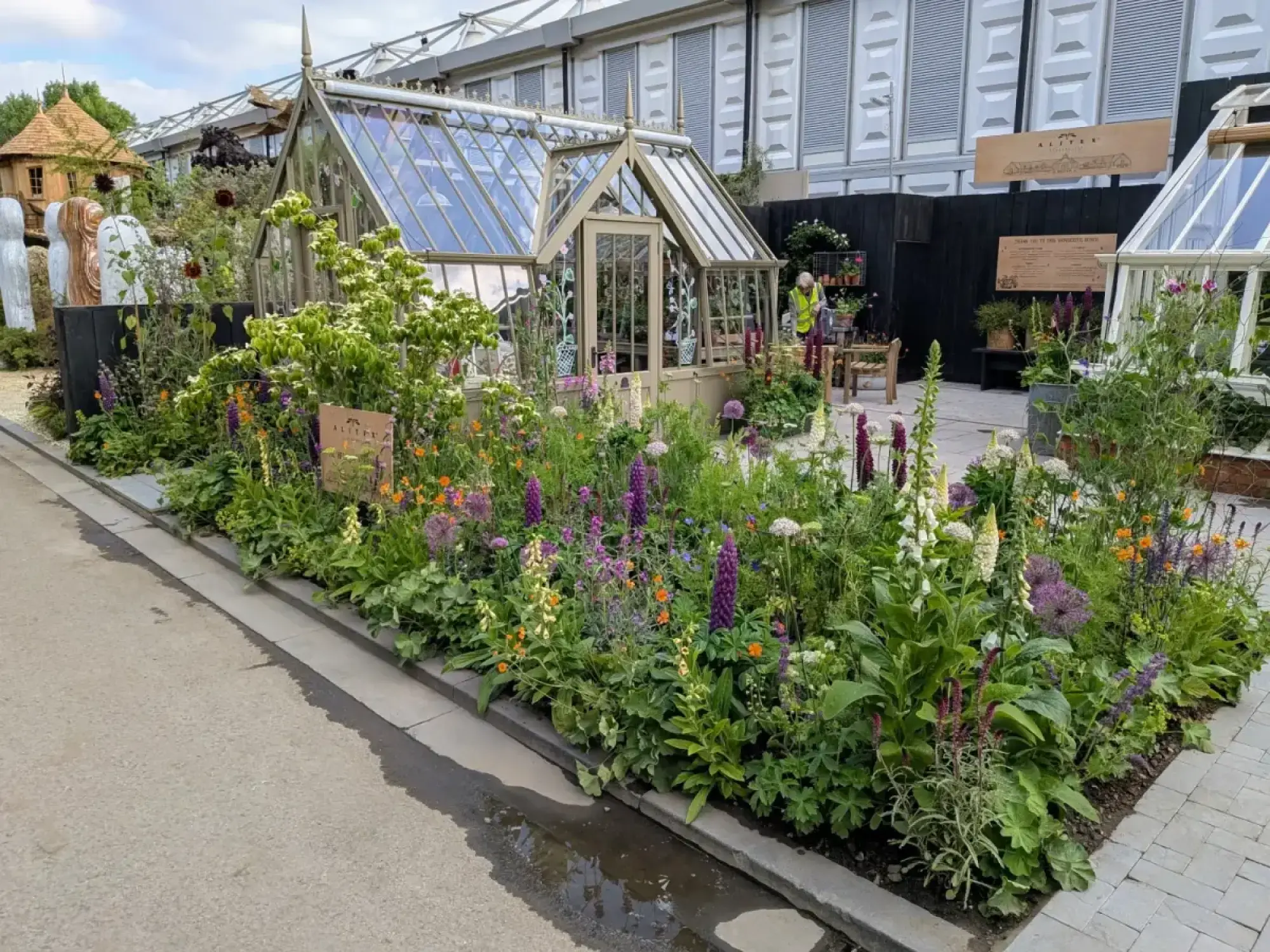 An elegant traditional glass greenhouse is surrounded by an abundant herbaceous border with purple lupins, white foxgloves, and orange and purple flowers.