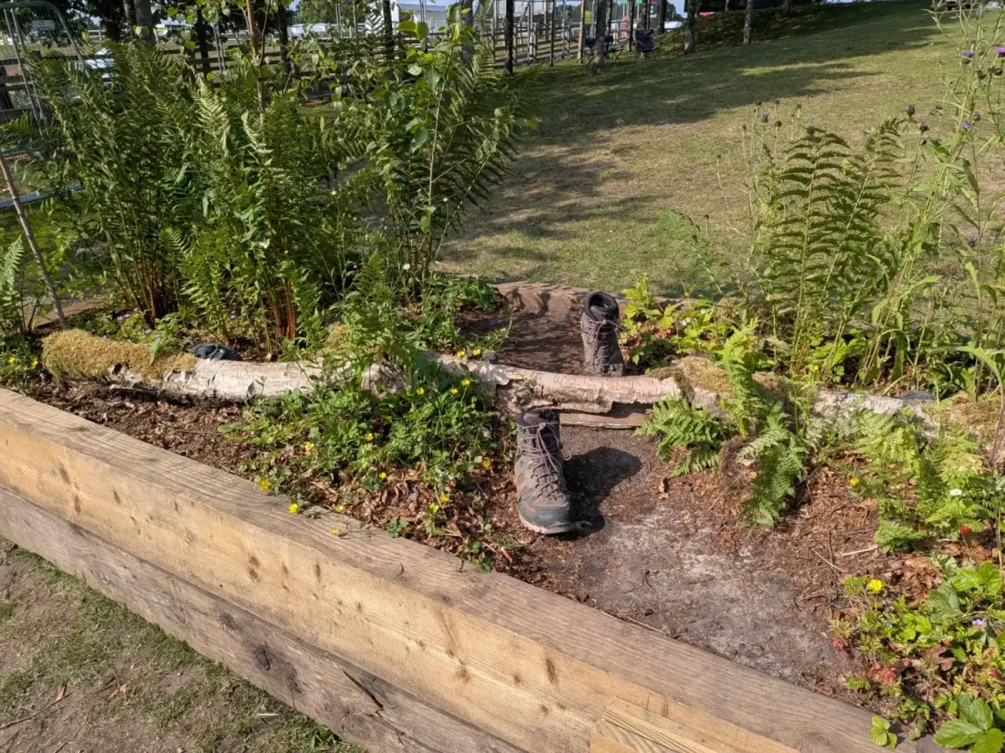 A naturalistic border features ferns, wild plants, and a soil path with two hiking boots, framed by a timber-raised bed and a mossy birch log.