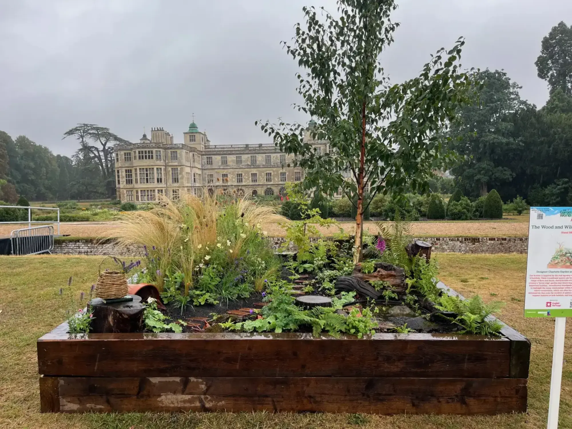 A naturalistic raised garden border featuring a silver birch tree, a small rustic water feature with logs, and wildflowers among ornamental grasses.