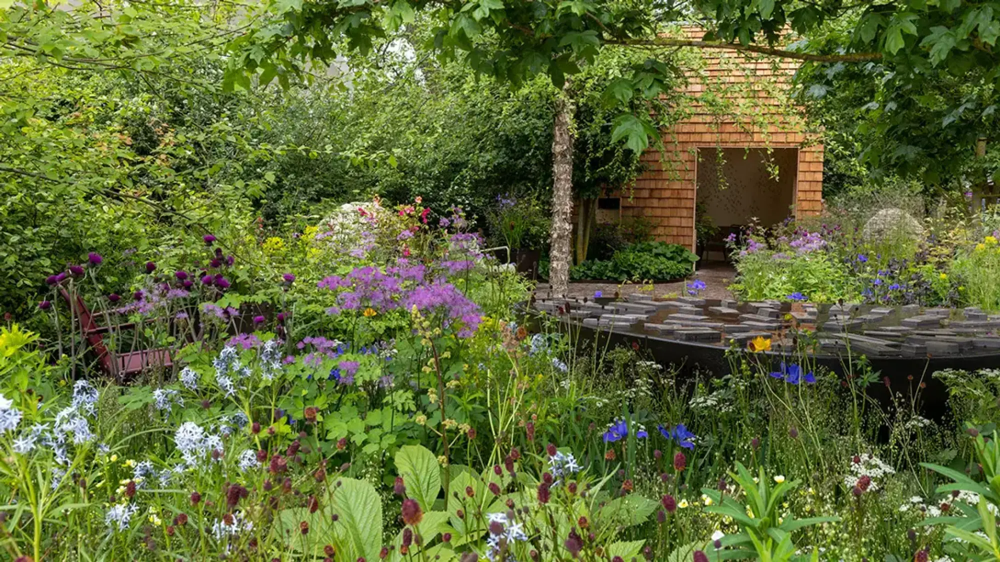 A tranquil show garden with a cedar-shingled cabin, a dark stepped water feature, and abundant naturalistic planting in shades of purple, blue, and yellow.