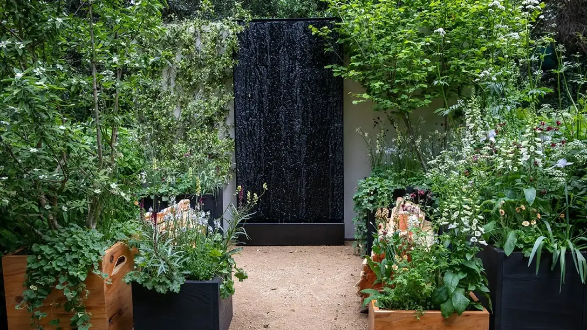 A contemporary container garden features a black textured water wall flanked by lush white-flowering plants in wooden planters and a gravel path.