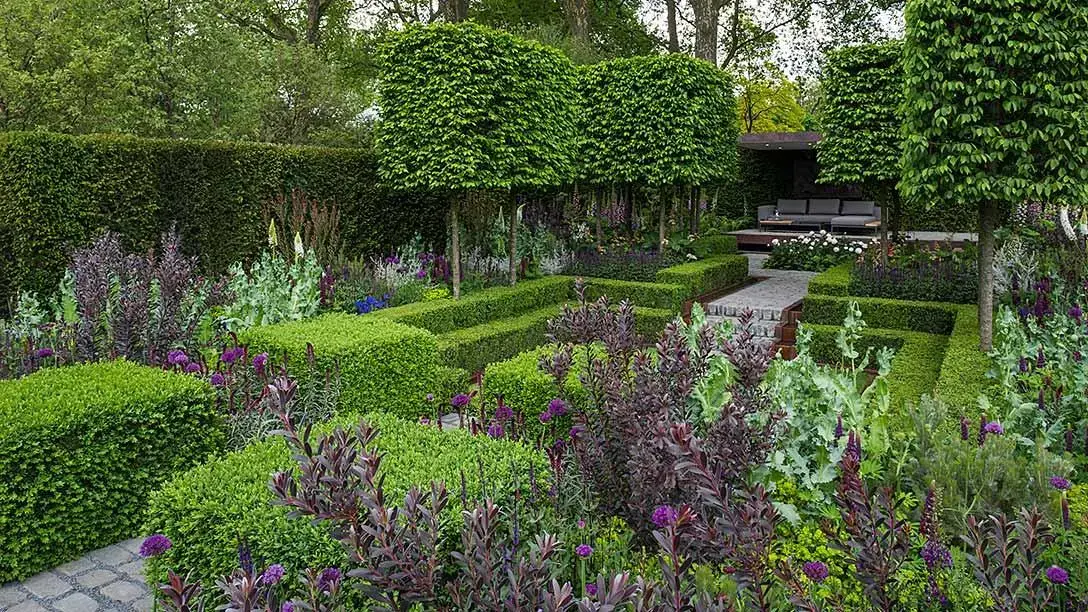 A formal contemporary show garden with clipped canopy trees, geometric box hedges, a stone path to a sunken pergola-covered seating area, and vibrant purple and green plants.
