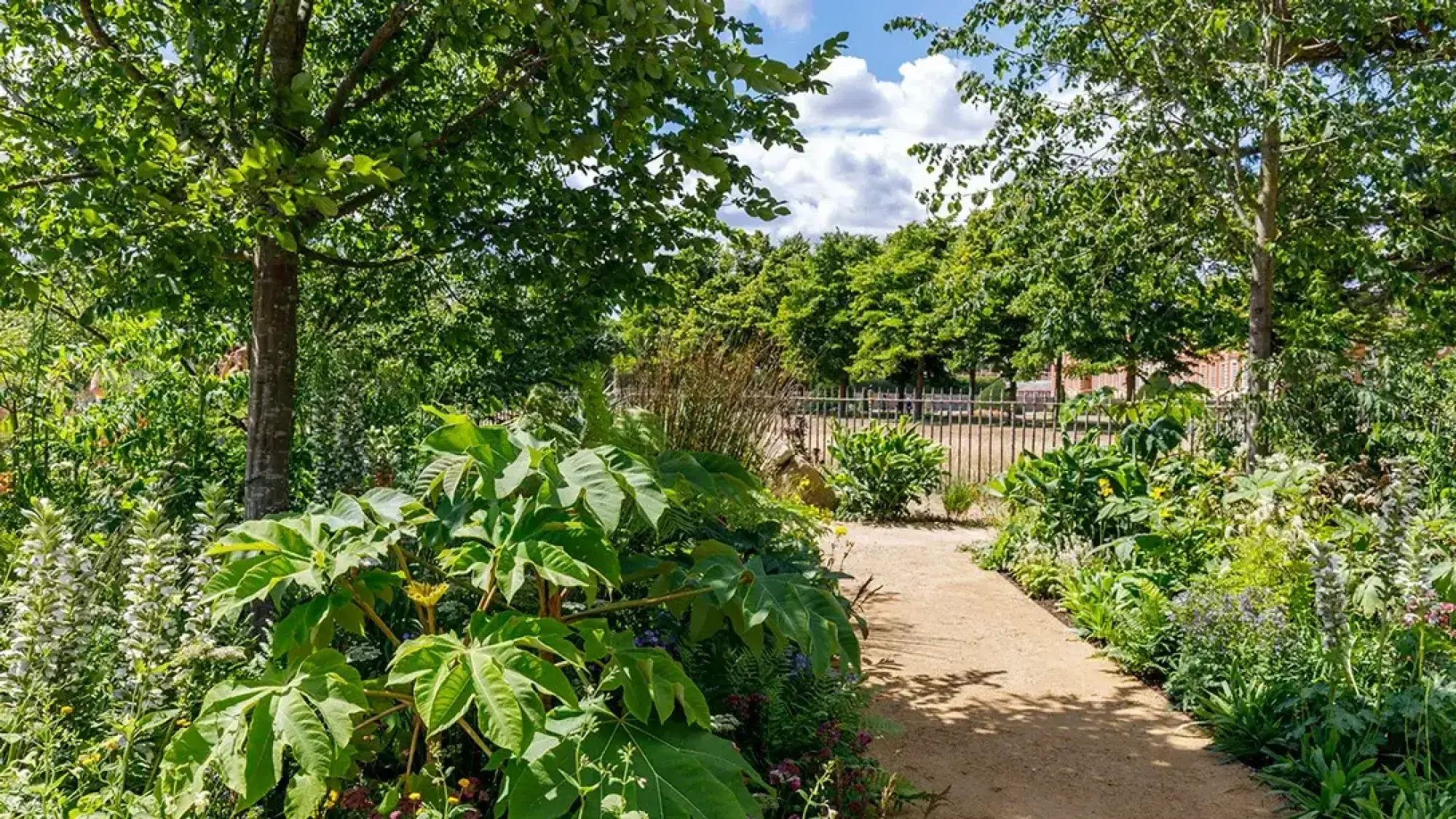A lush, naturalistic garden features a winding unpaved path flanked by abundant green foliage, large-leaved plants, and tall white flowers under mature trees.