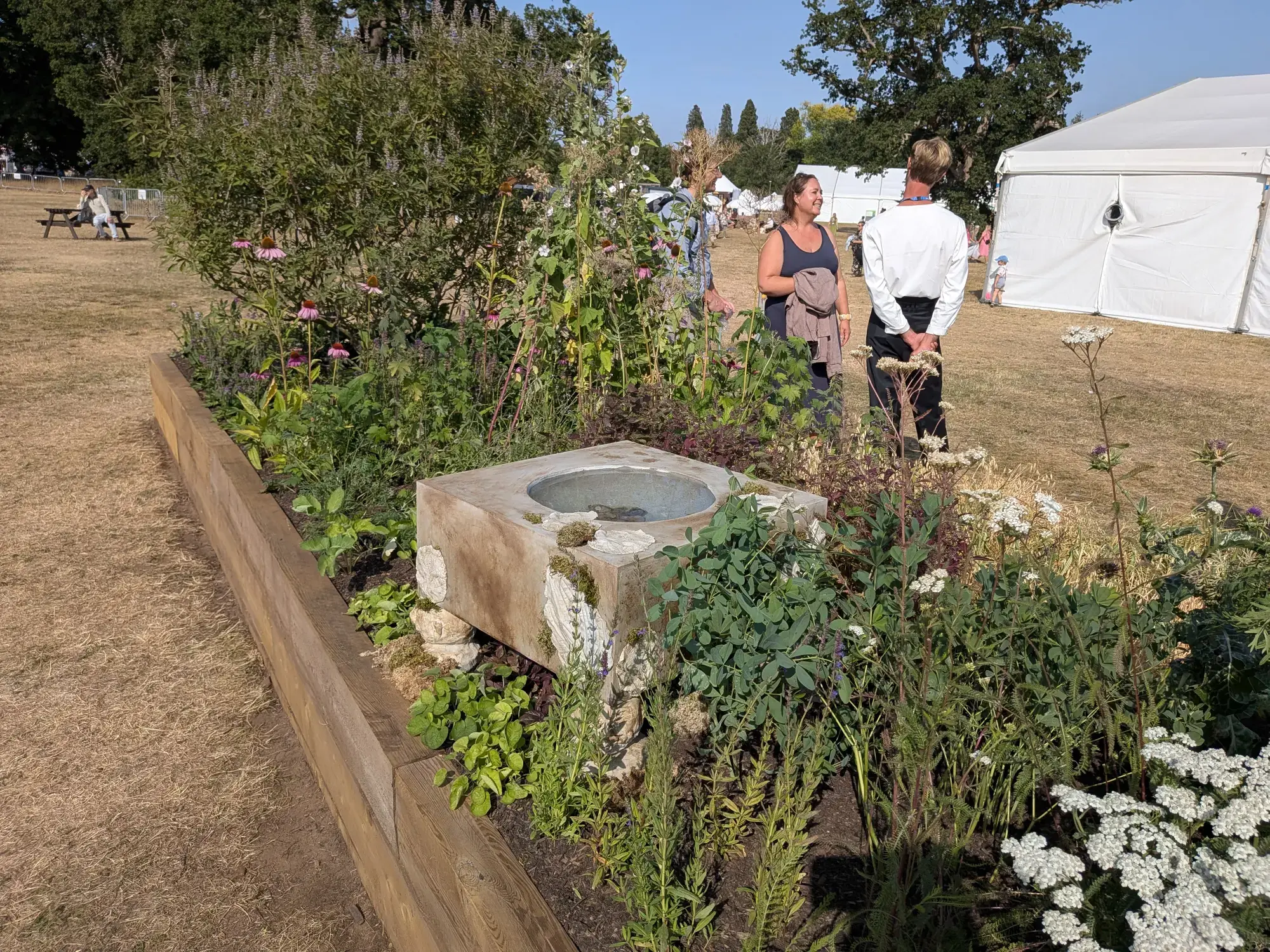 A long raised timber garden border holds a weathered stone water basin amidst informal planting with pink coneflowers and white yarrow.