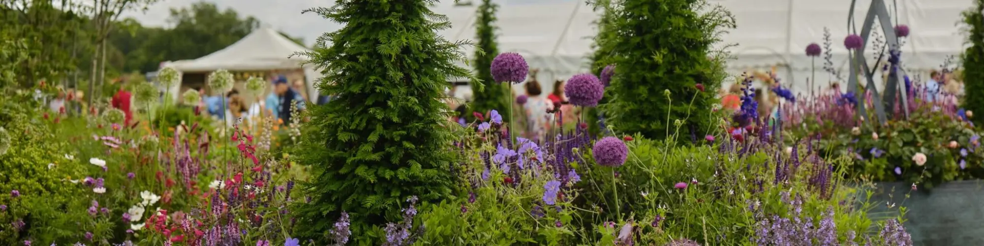 nfNfenKdic5zx1fT6KbifKNRRjxny1-metaV2luZHNvckZsb3dlclNob3cyMi0xMDMwLTIwNDh4MTUzNi5qcGVn-