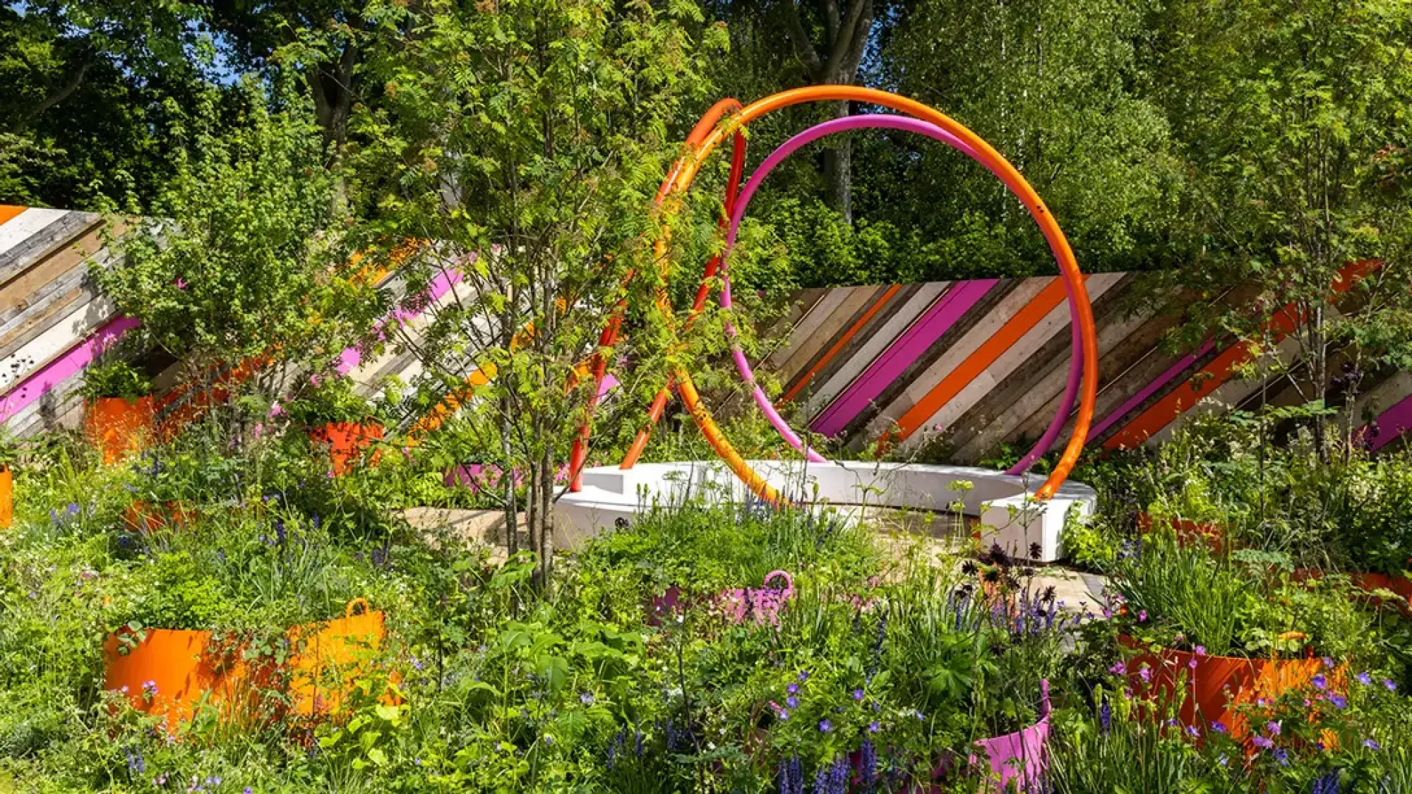 A vibrant garden features large orange and pink hoops, a white bench, and lush green and purple planting with a striped wooden fence.