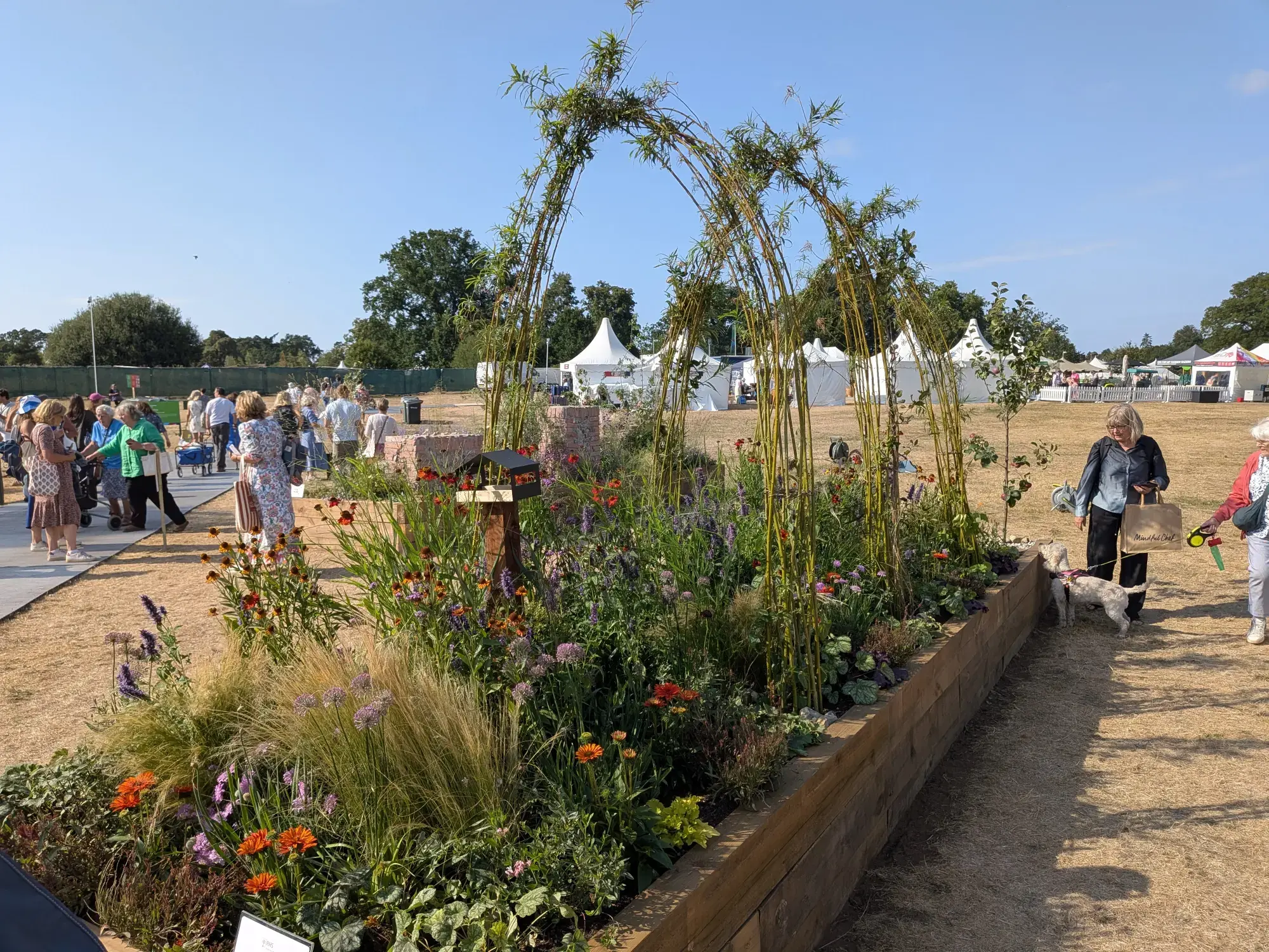 A long raised timber garden border features a tall bamboo archway, filled with a vibrant mix of purple, orange, and green naturalistic planting.