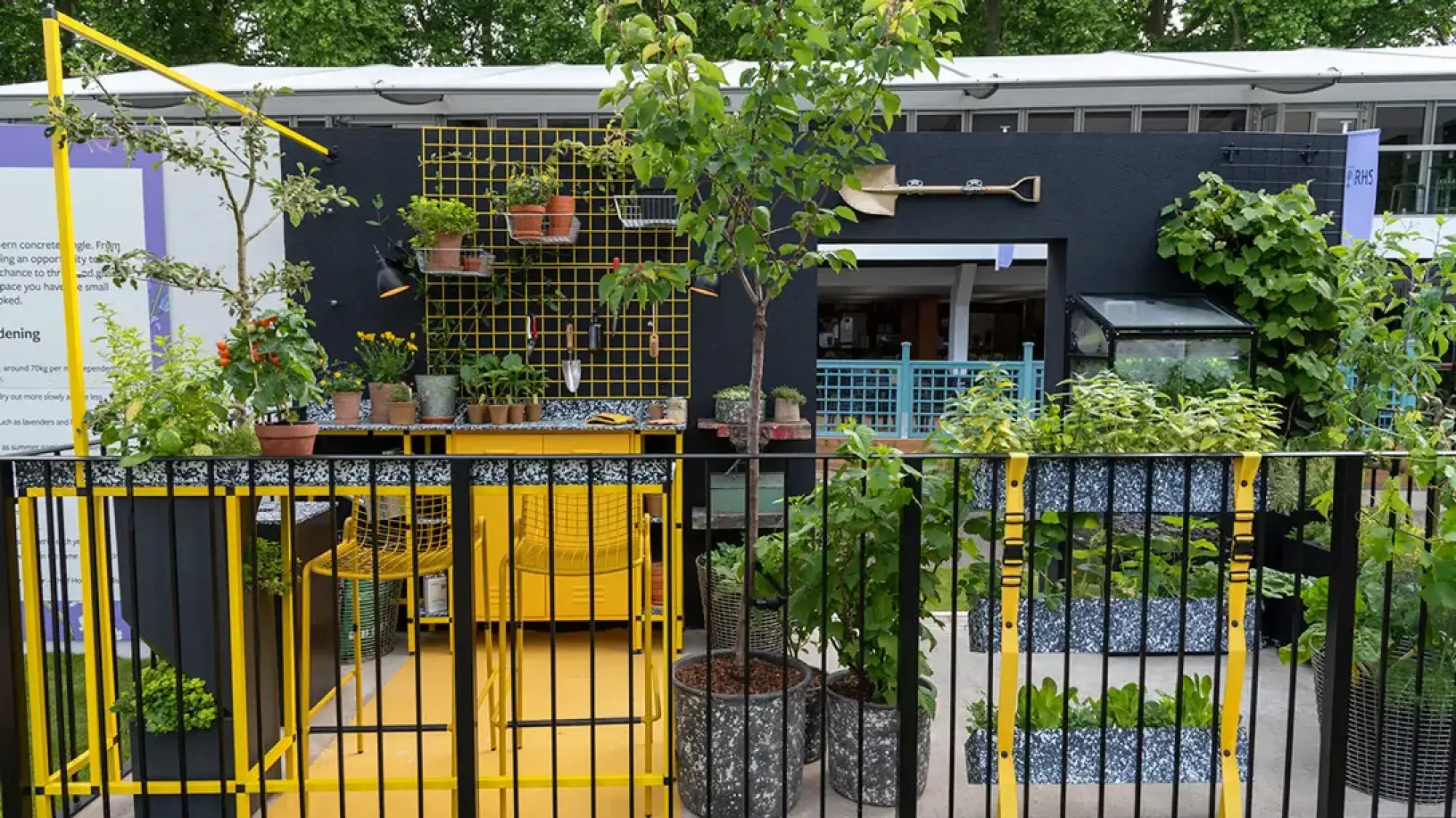 A vibrant balcony garden with yellow floor, black wall, yellow grid, potting bench, and speckled planters with herbs and fruit tree.