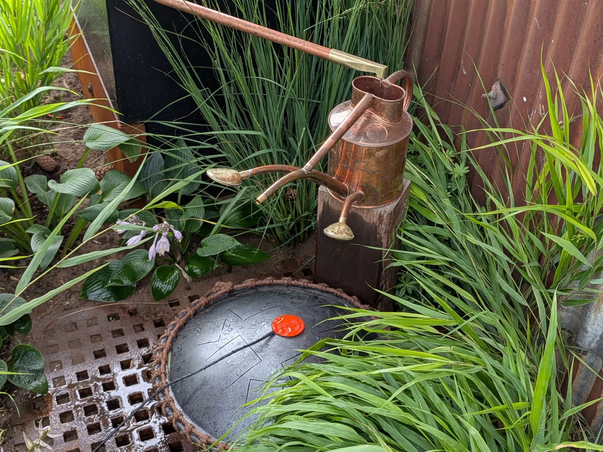 A sustainable Grow Forward Garden features a copper rainwater harvesting system directing water into a black collection drum, surrounded by lush green grasses and hostas.
