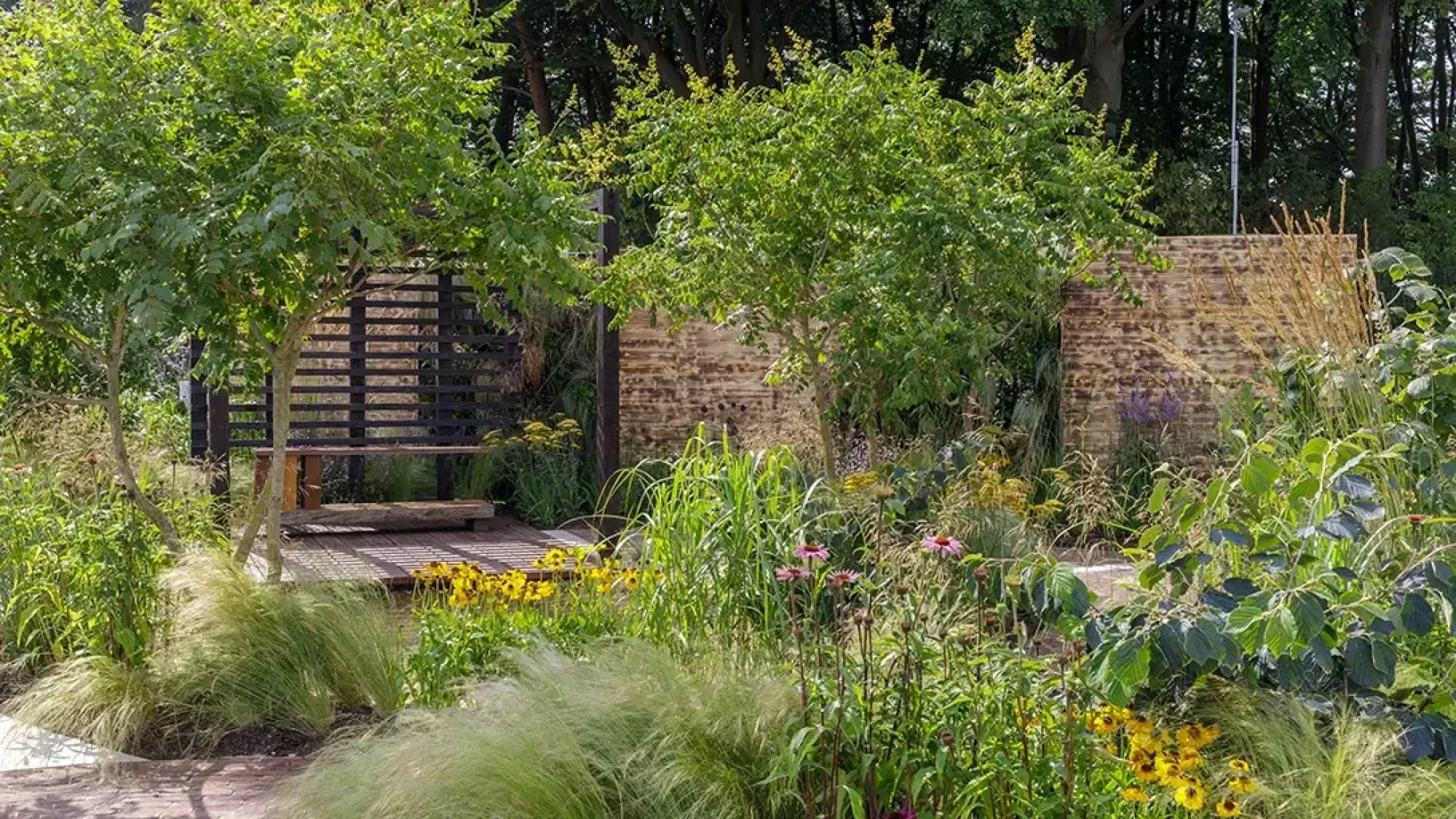 A tranquil garden features a dark timber shelter, deck and bench, surrounded by flowing grasses, yellow and purple coneflowers.