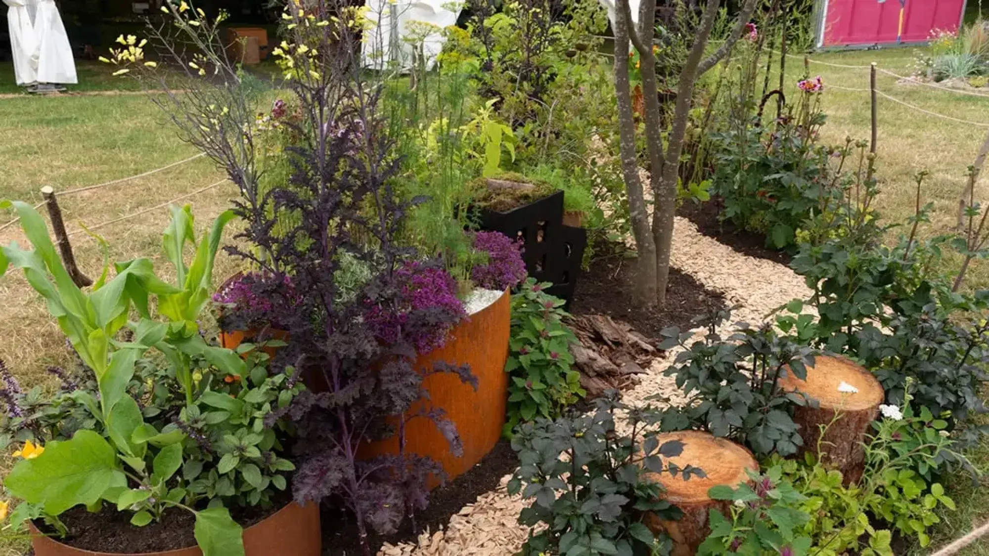 A vibrant pocket food forest garden with rusted Corten steel planters, tree stump seats, a winding wood chip path, and lush green and deep purple edible plants.