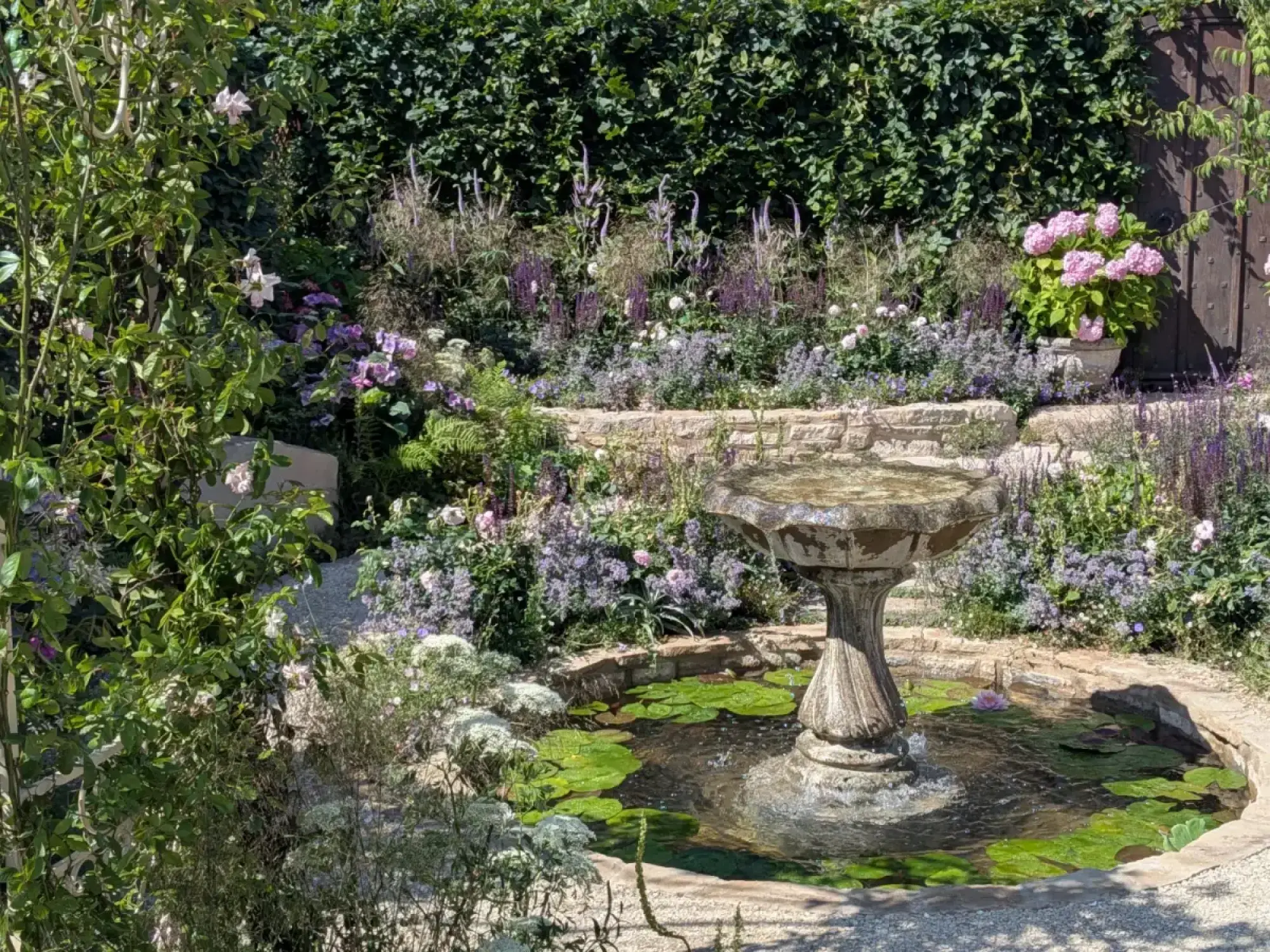 An ornate stone fountain with a lily pond is central to a lush, romantic garden featuring pale pink roses, purple spires, and pink hydrangeas.