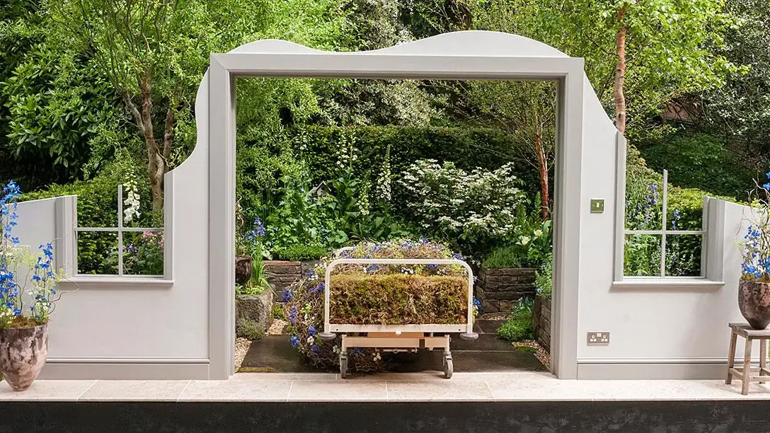 A garden features a mossy hospital bed planter with blue flowers, framed by a grey wall with an archway and windows, backed by green plants.