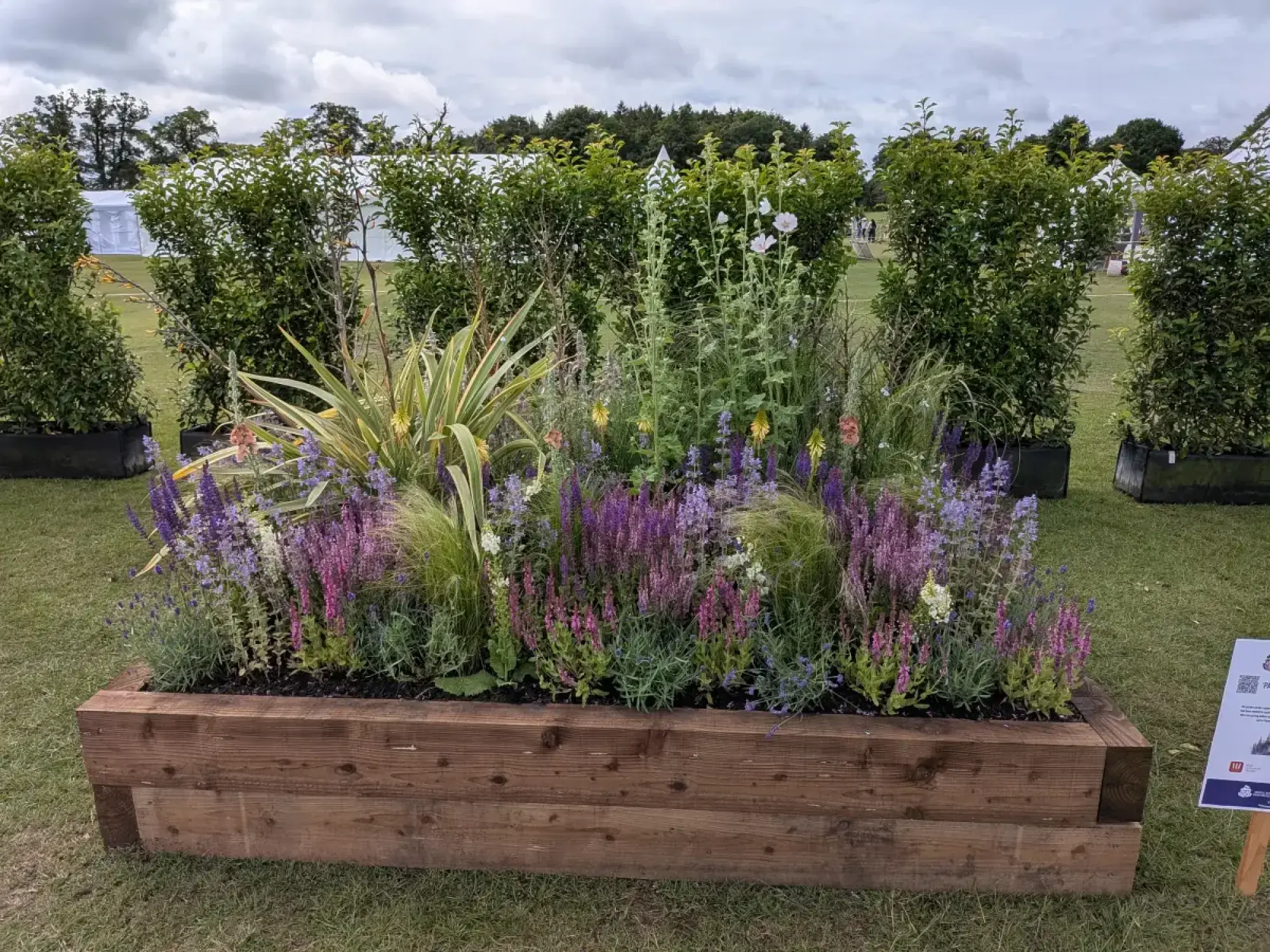 A dark timber raised planter is filled with a vibrant mix of purple, pink, white, and yellow spired flowers, variegated foliage, and wispy grasses.