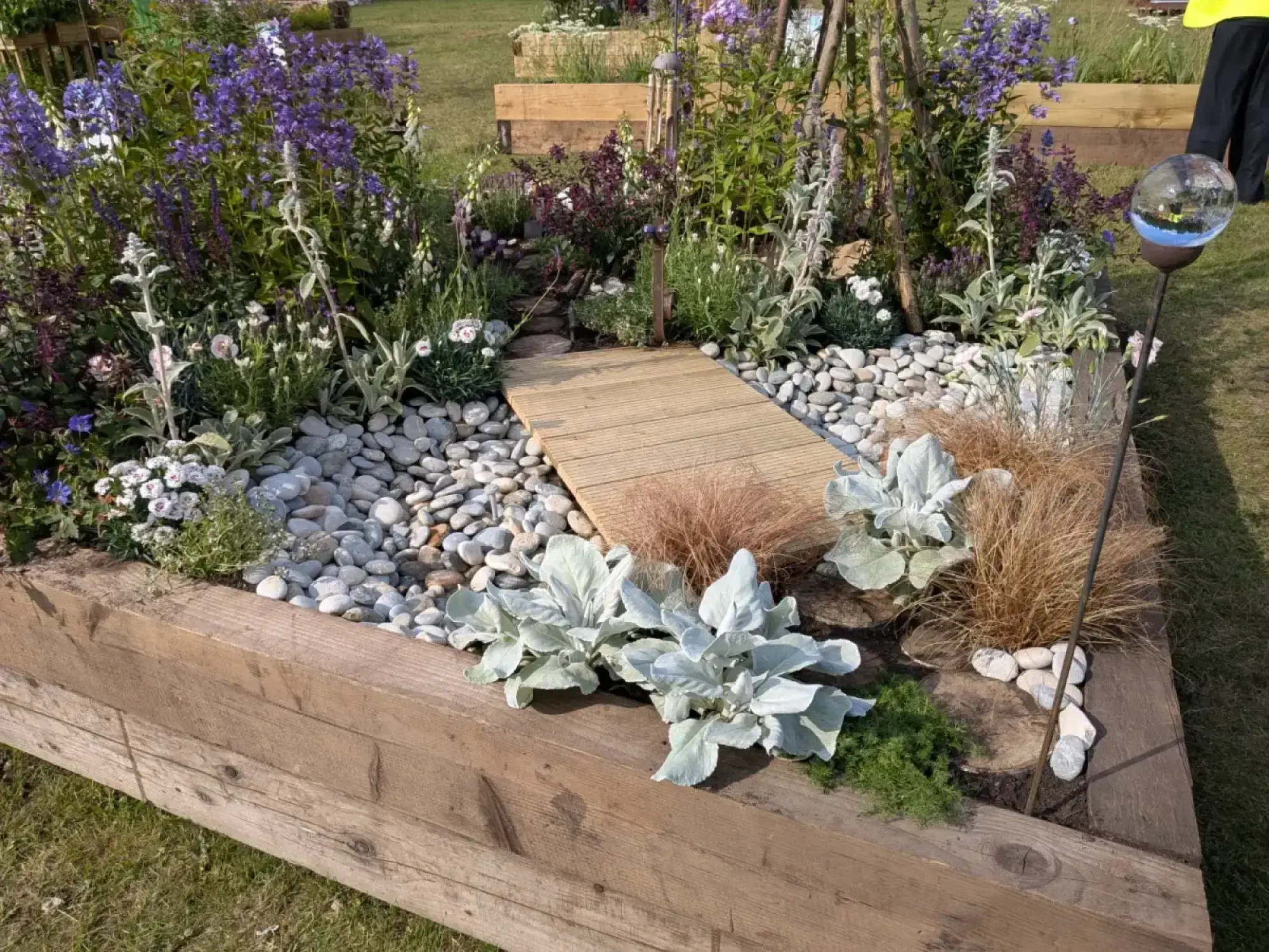 This raised timber border garden features a small wooden bridge over white pebbles, lush plantings of purple and white flowers, silver foliage, and tall grasses.