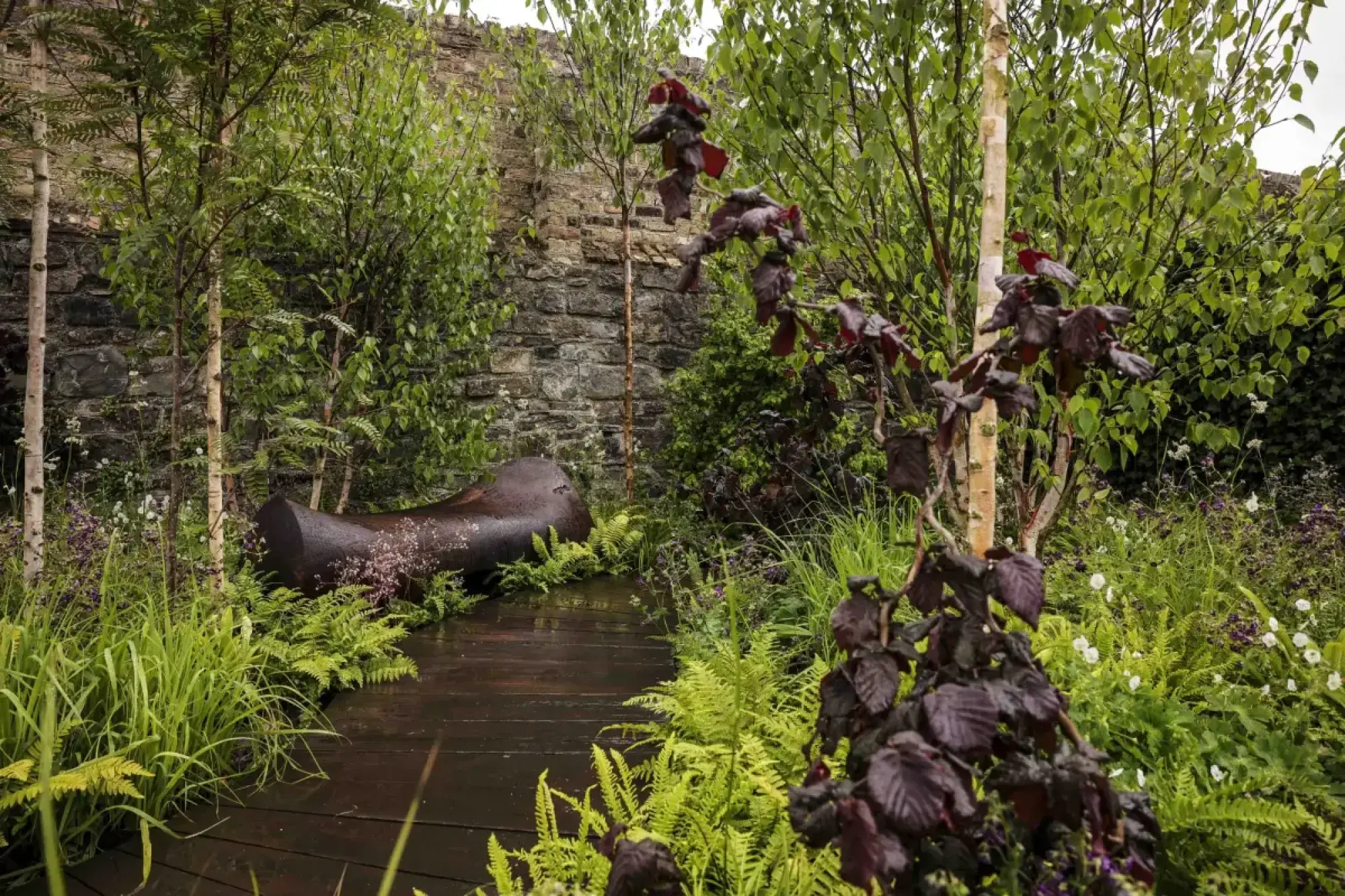A dark timber boardwalk winds through a lush, green planting of ferns, grasses, and slender birch trees, leading to a large dark weathered sculpture.
