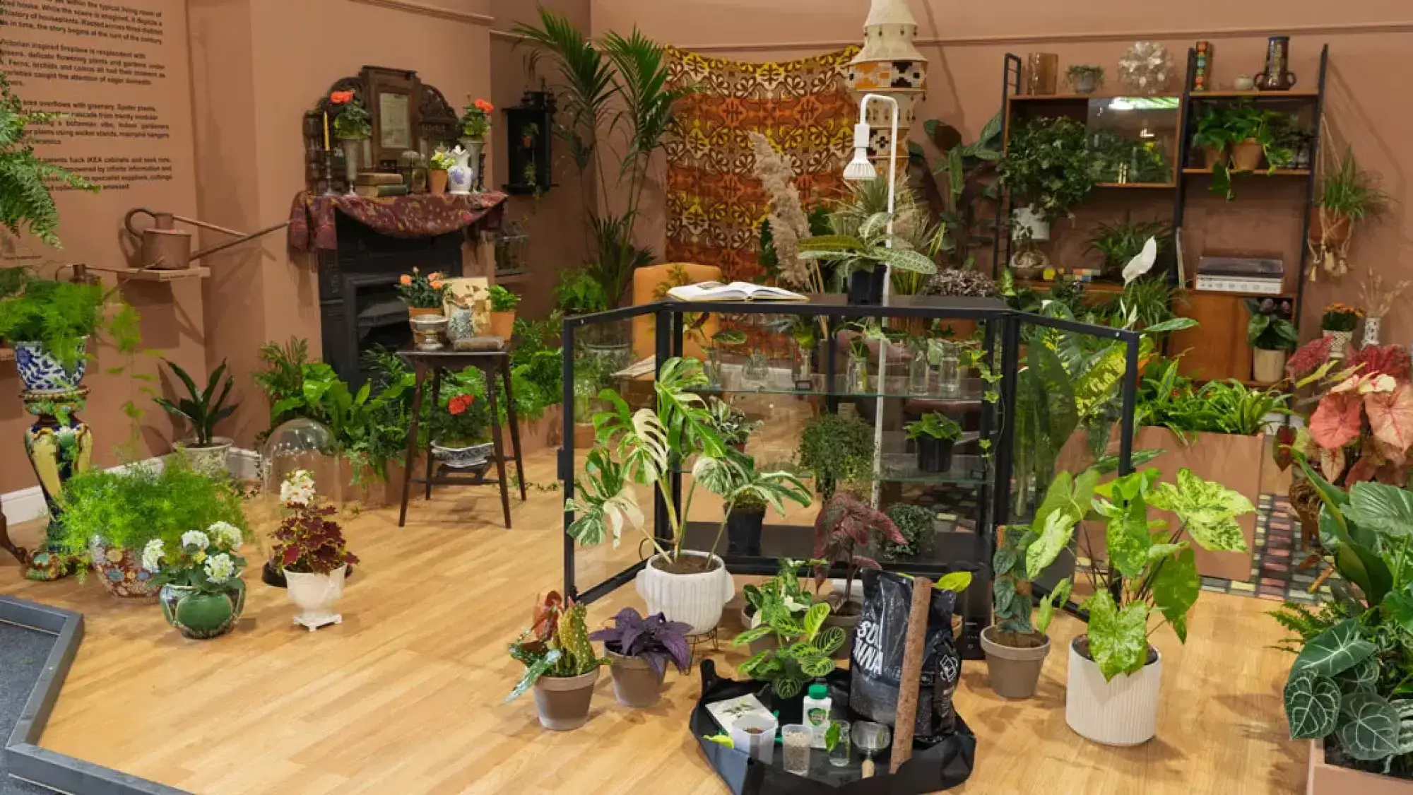 An abundant indoor plant garden features a central glass display case, a vintage fireplace, and a tall wooden shelving unit, all overflowing with a diverse collection of houseplants in decorative pots.