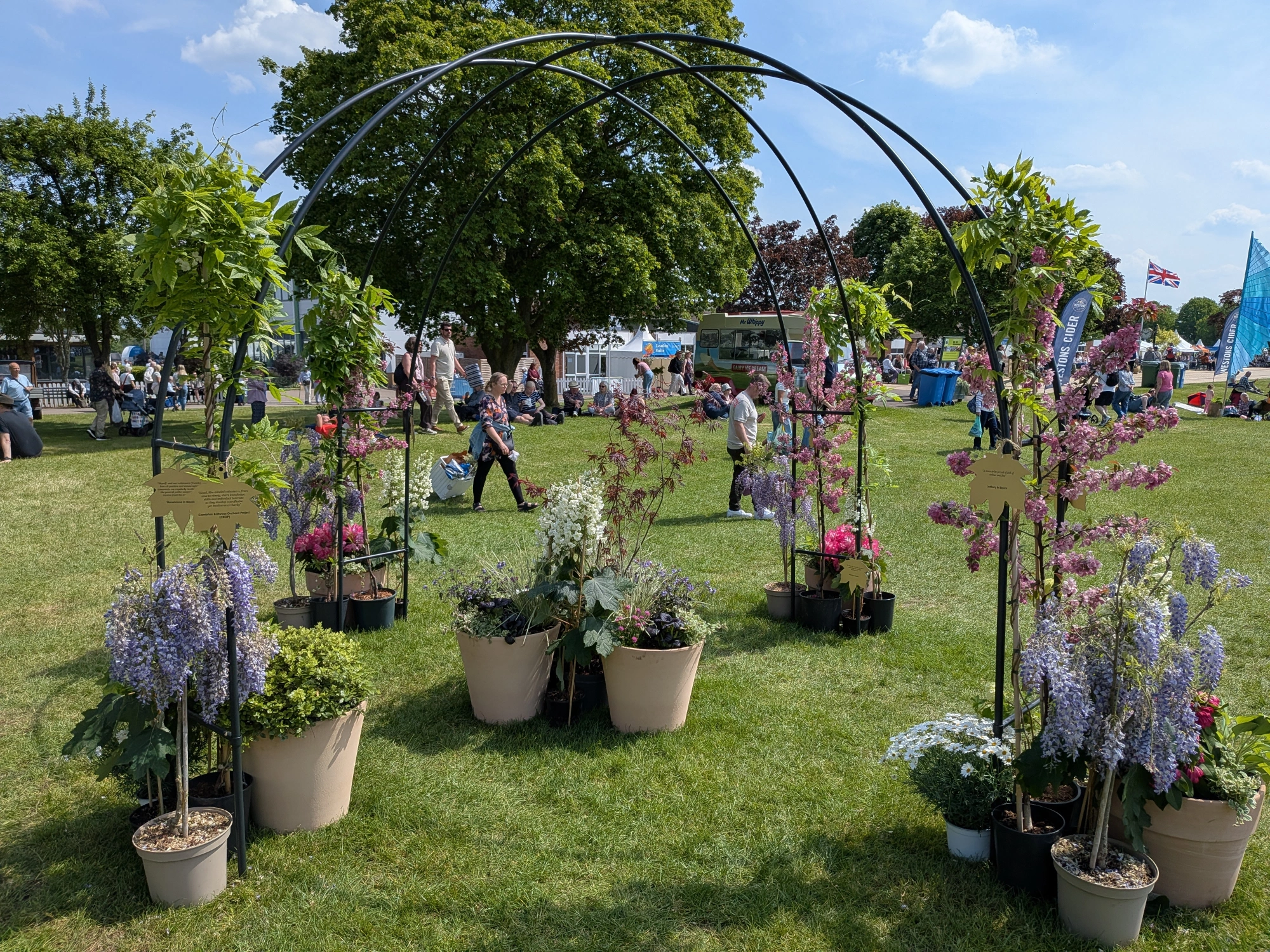 A community garden showcases a large black metal archway adorned with purple wisteria and pink blossom, surrounded by diverse potted flowers on grass.