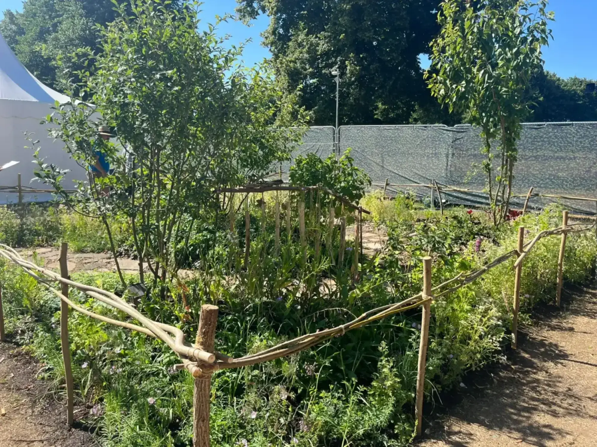 A rustic garden features a low, woven branch fence bordering a dirt path and dense, naturalistic planting of green foliage, wildflowers, and herbs.