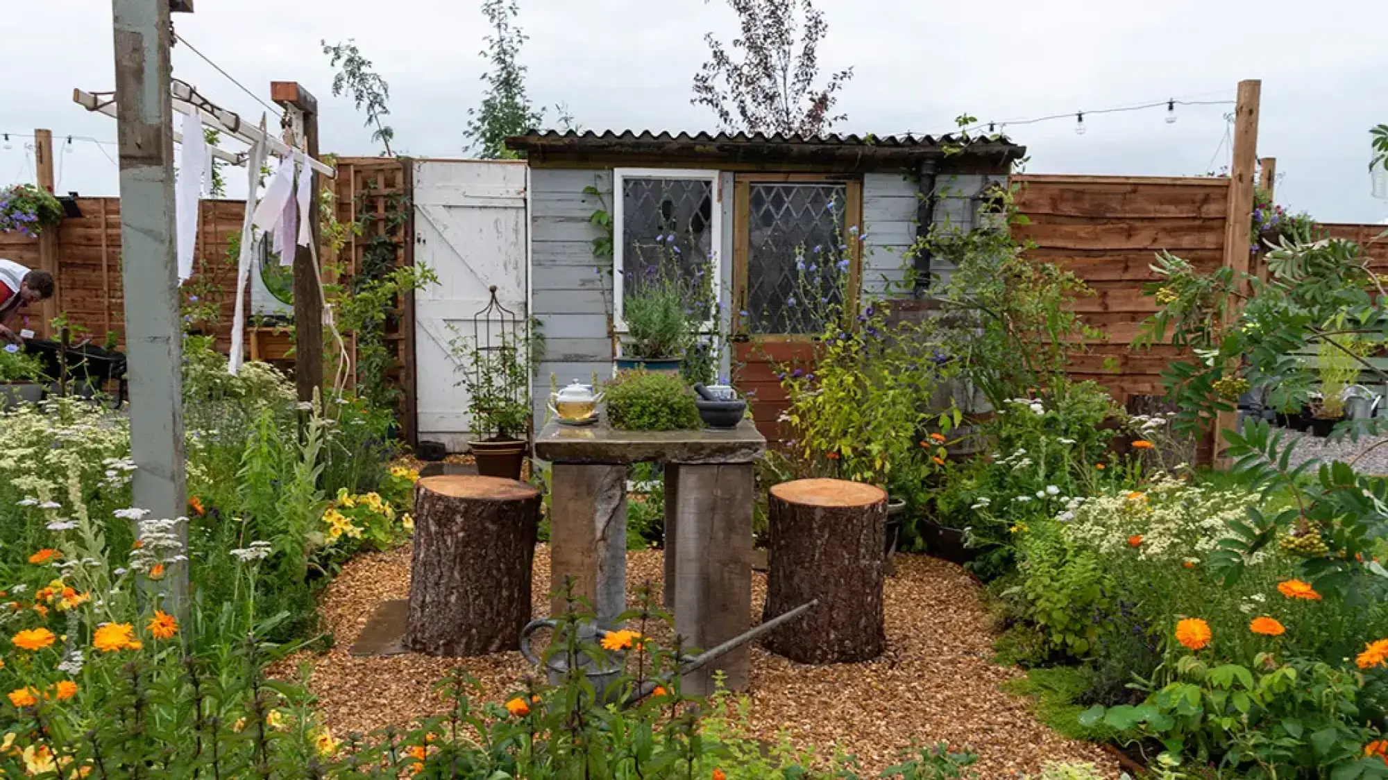 A rustic terrace garden centers on a weathered timber shed and a stone table with tree stump seats, surrounded by a gravel path and colourful medicinal planting.
