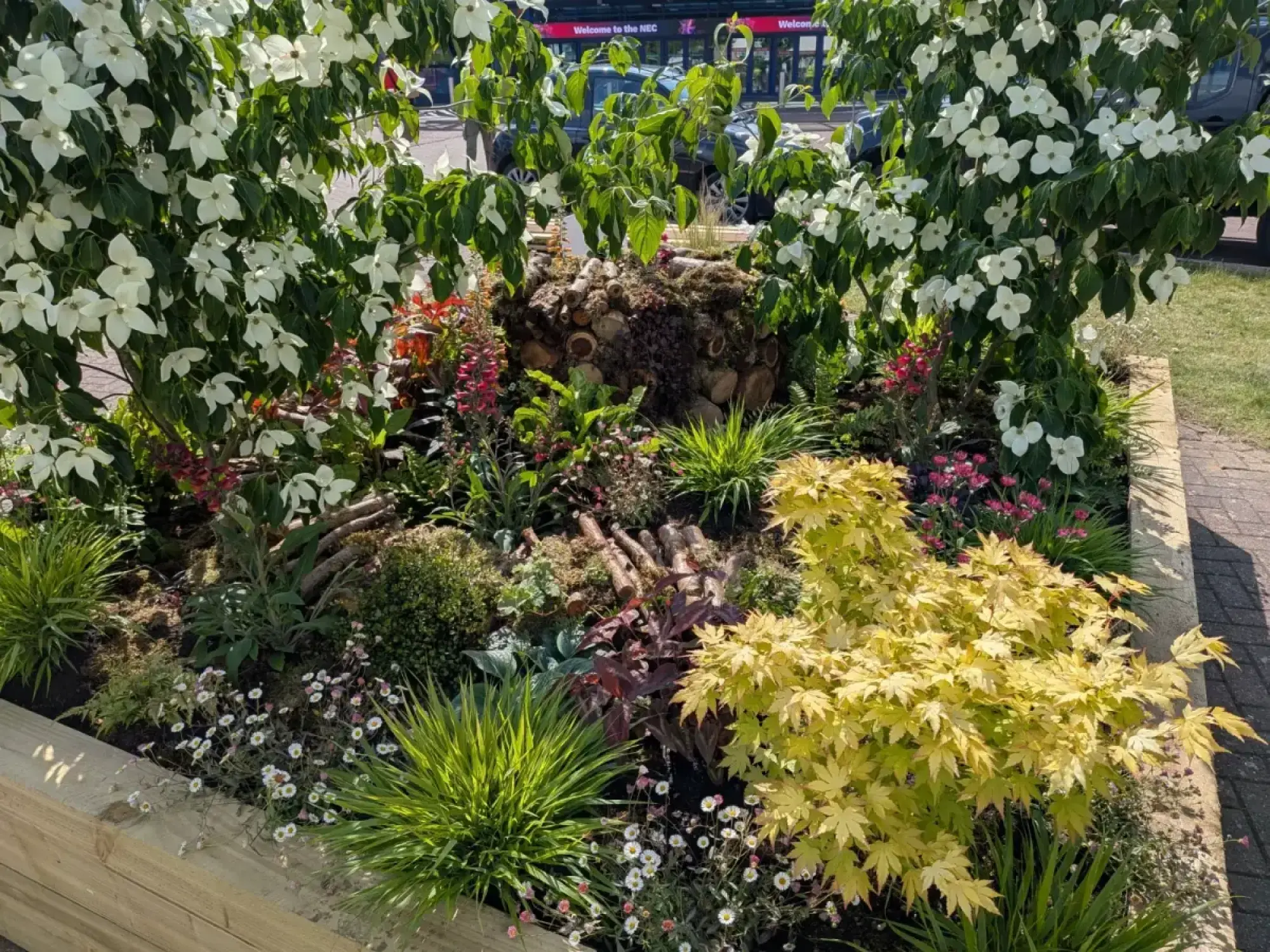 A vibrant raised timber garden border with a central mossy log pile, white flowering dogwood trees, a bright yellow Japanese maple, and diverse mixed perennials.