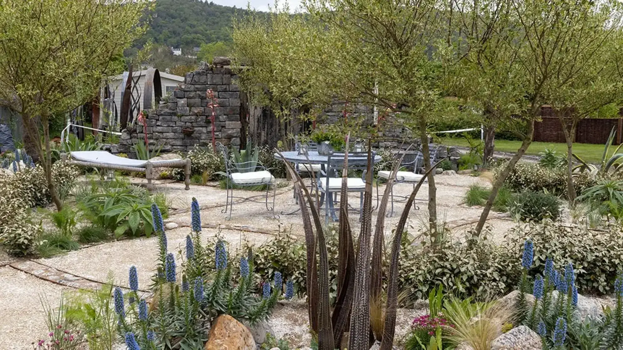 A tranquil show garden features a rustic stone wall, a daybed, and a round dining set on a gravel path, surrounded by small trees, blue spiky flowers, and varied green foliage.