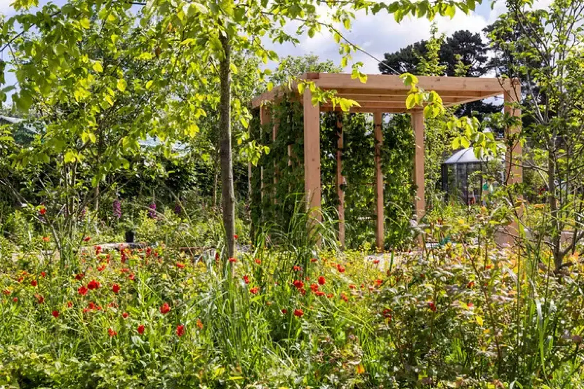 A show garden features a timber pergola with climbing plants, a large bed of red strawberry plants, and a small glass dome.