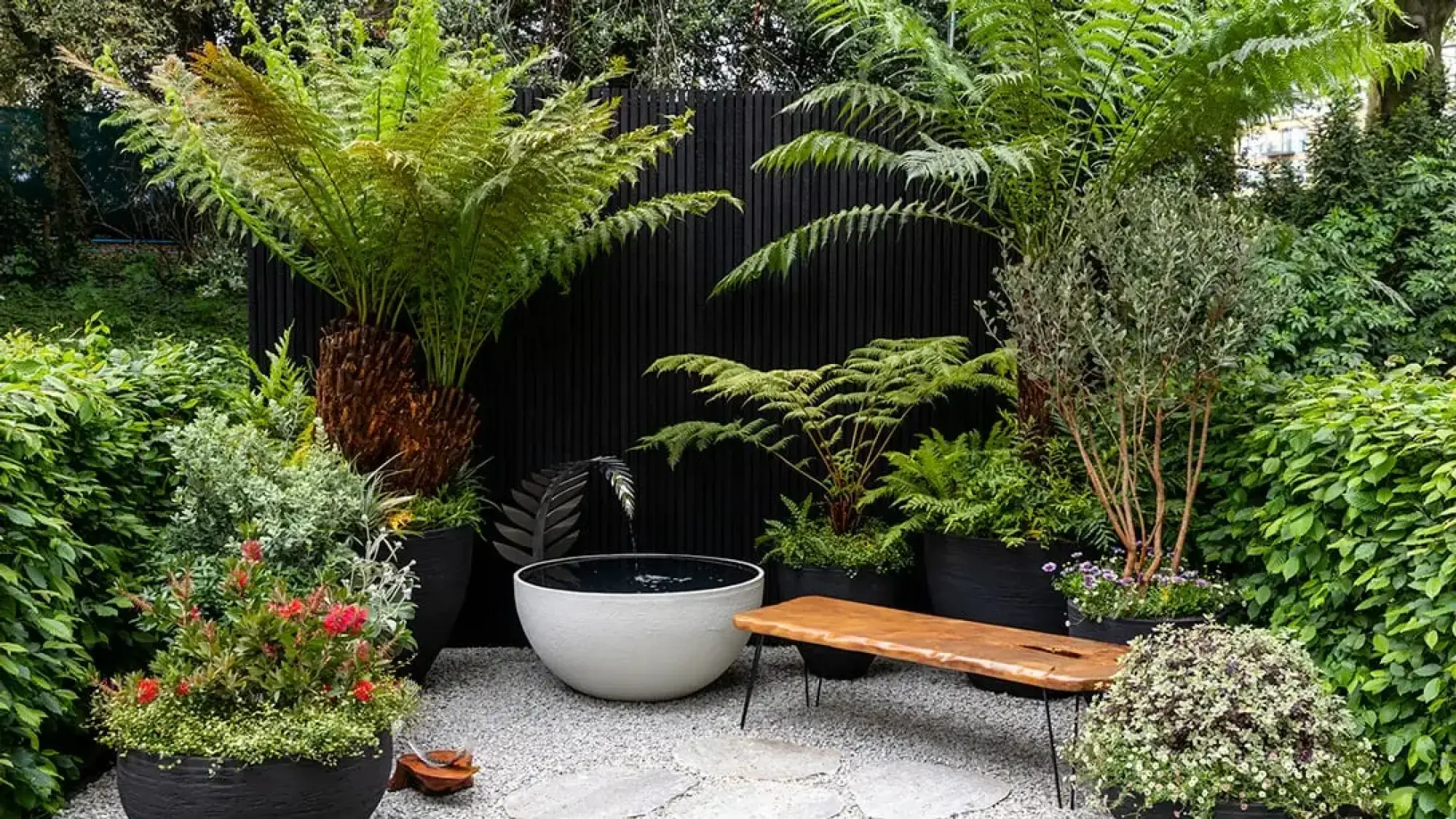 A lush container garden with a black slatted wall, a white bowl water feature, a live-edge wooden bench, and various potted plants including large tree ferns and red bottlebrush flowers.