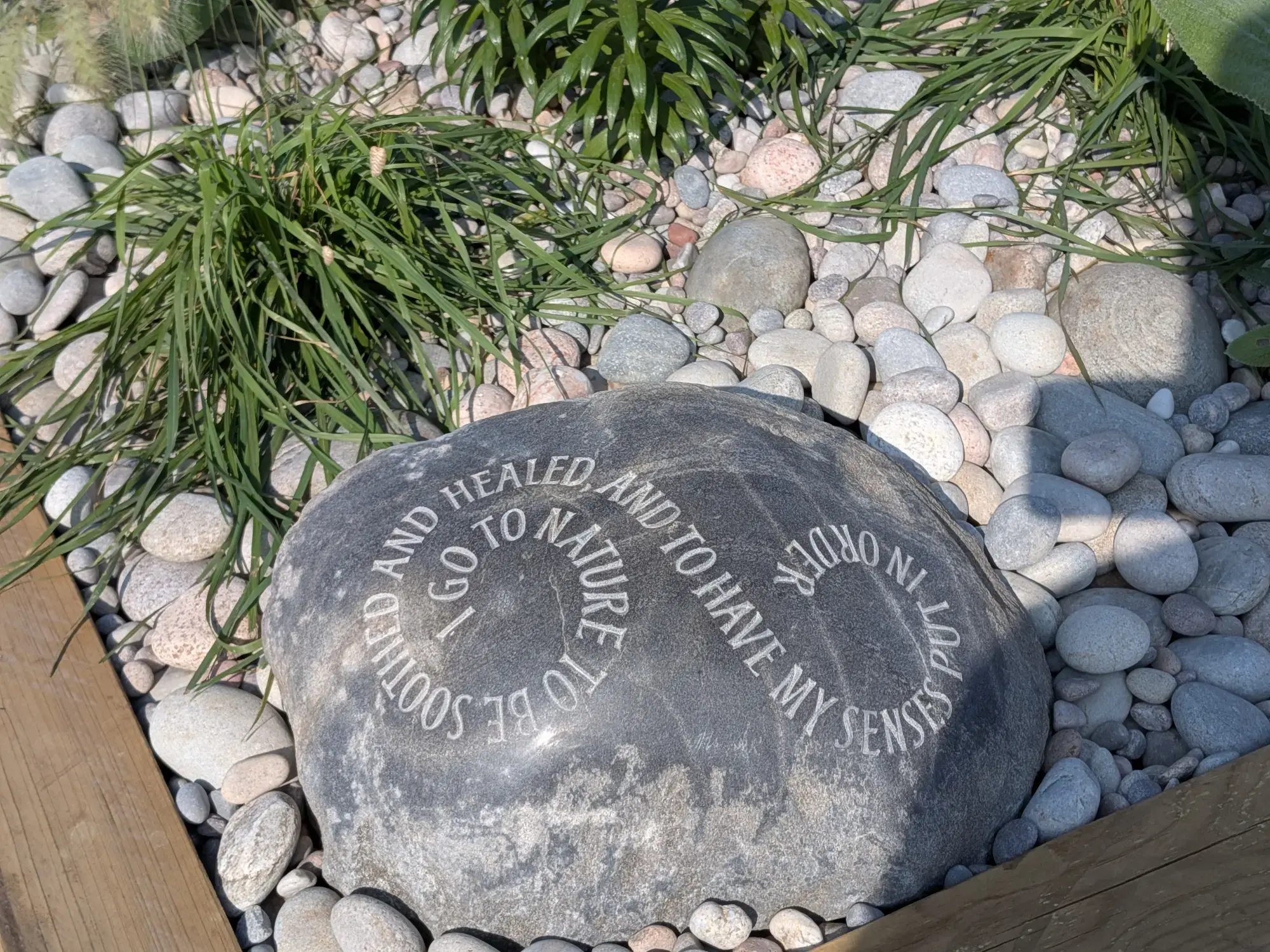 A large grey stone boulder engraved with a spiral inspirational quote is nestled among smooth grey and white pebbles and green strappy plants.