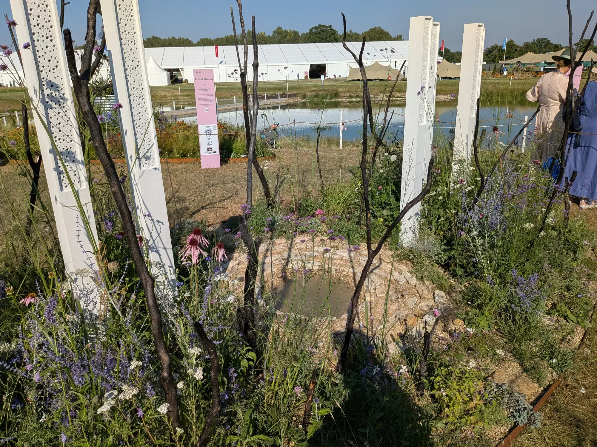 Plantwild: The Pollinators Sanctuary Garden