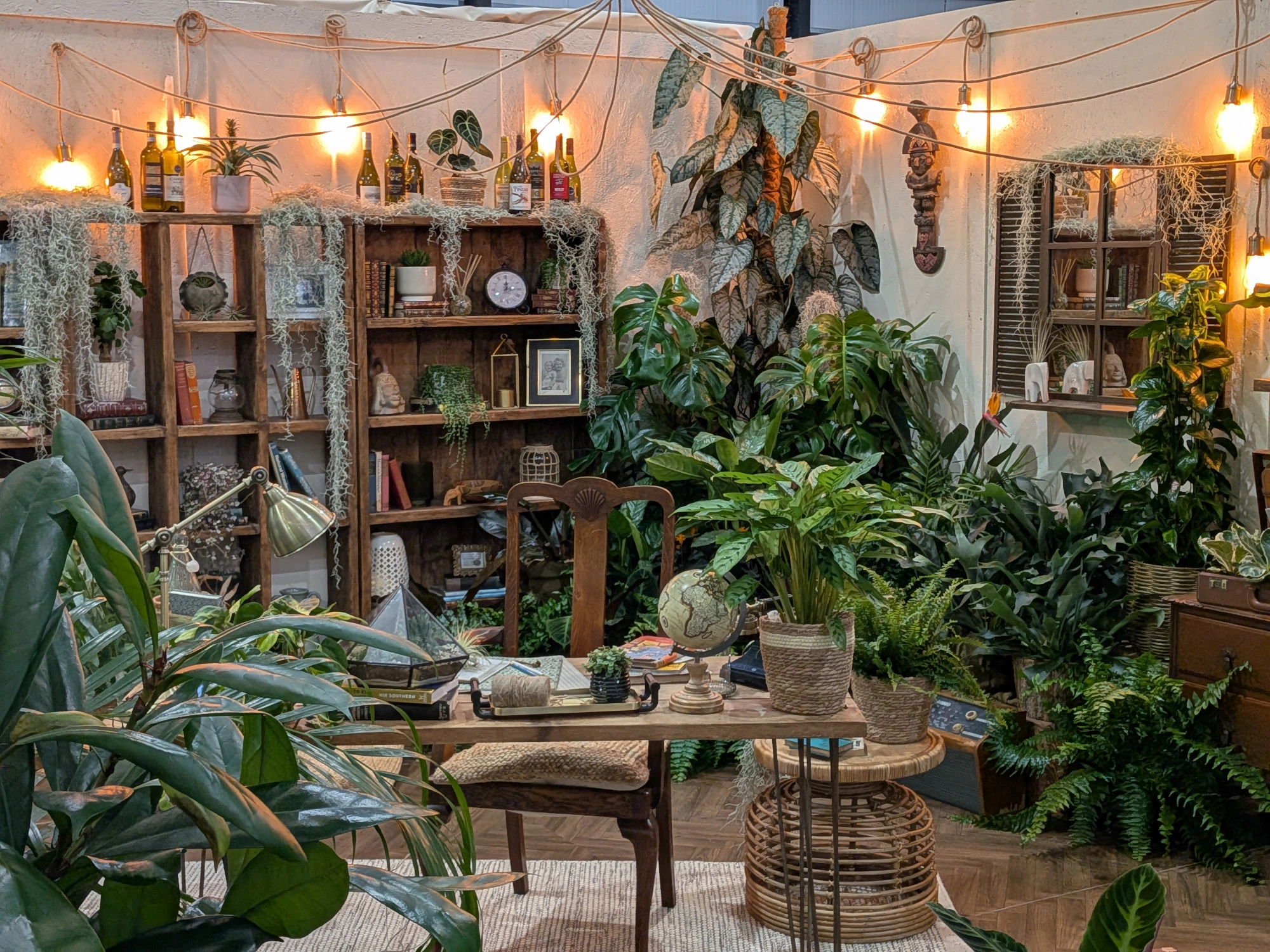 A cozy indoor study garden has a desk, chair, and shelves brimming with books, diverse plants, and hanging moss, lit by string lights.