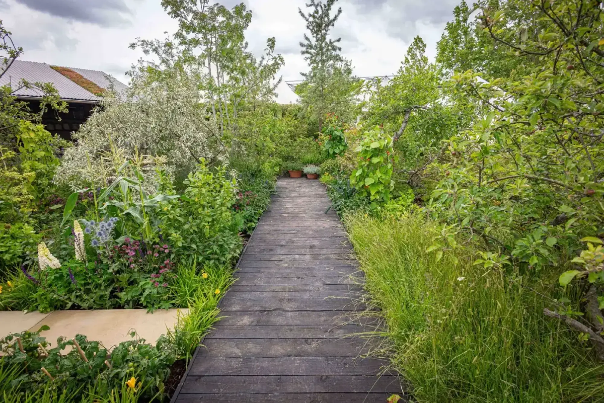 A dark timber boardwalk leads through a lush, abundant kitchen garden filled with edible plants, fruit trees, and colourful flowers.