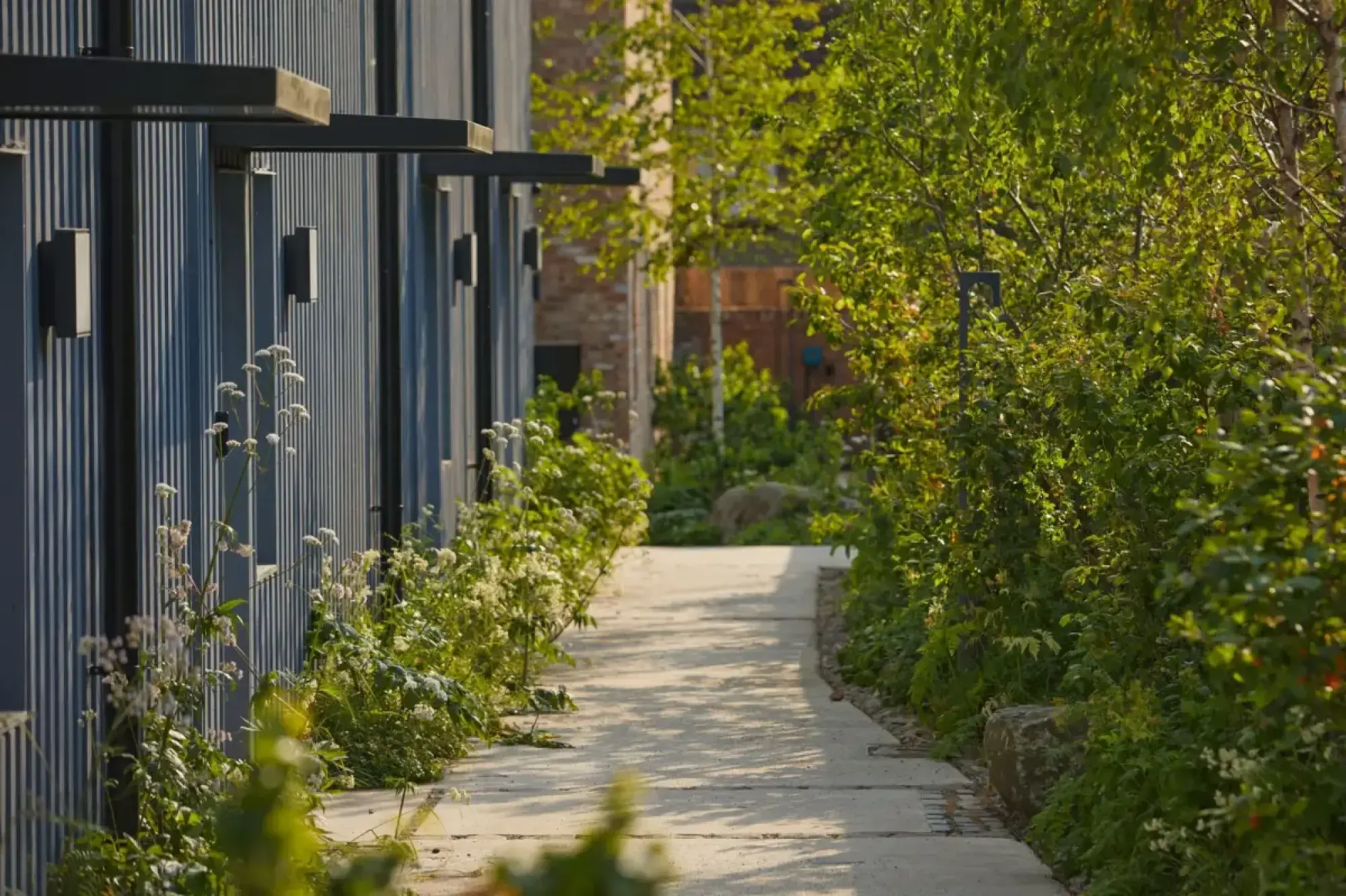 A modern urban garden features a light concrete path, bordered by a dark corrugated building with wall lights and dense green naturalistic planting.