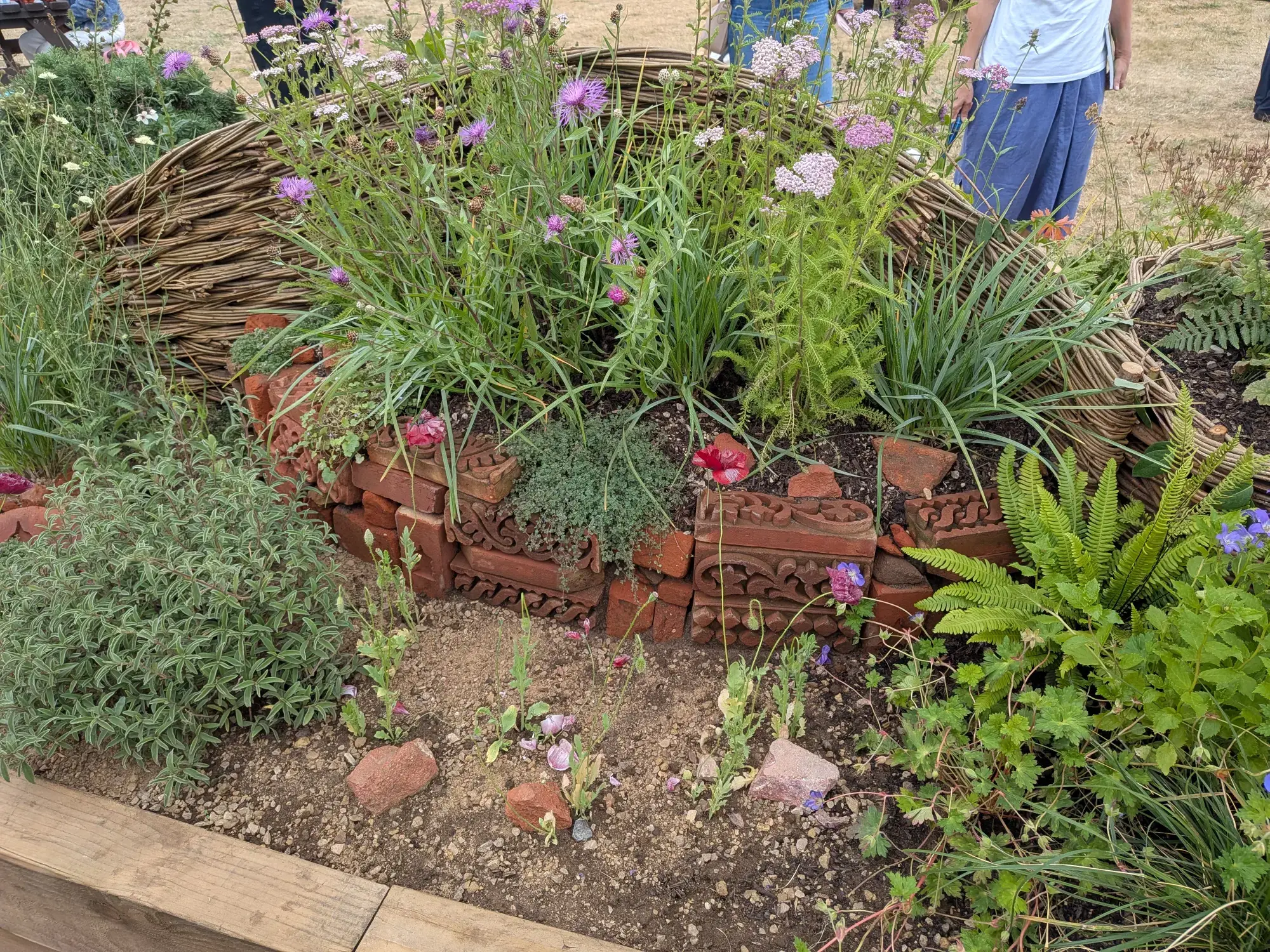 A naturalistic long border featuring a woven willow barrier, decorative terracotta brick edging, and a mix of purple centaurea, pink yarrow, ferns, and grasses.