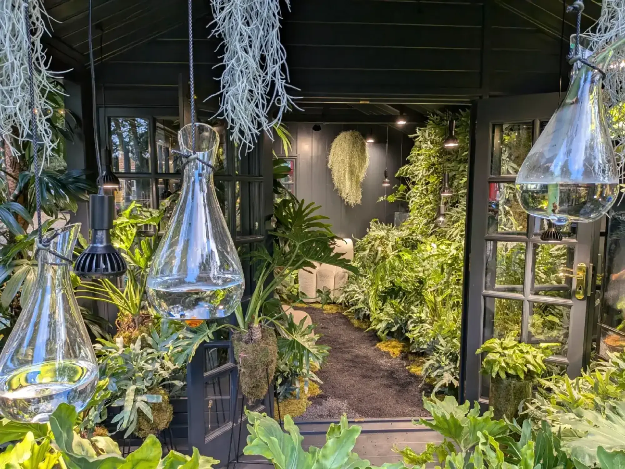 A dark green houseplant studio with open doors reveals lush tropical plants, hanging glass terrariums filled with water, and a path leading into a verdant indoor space.