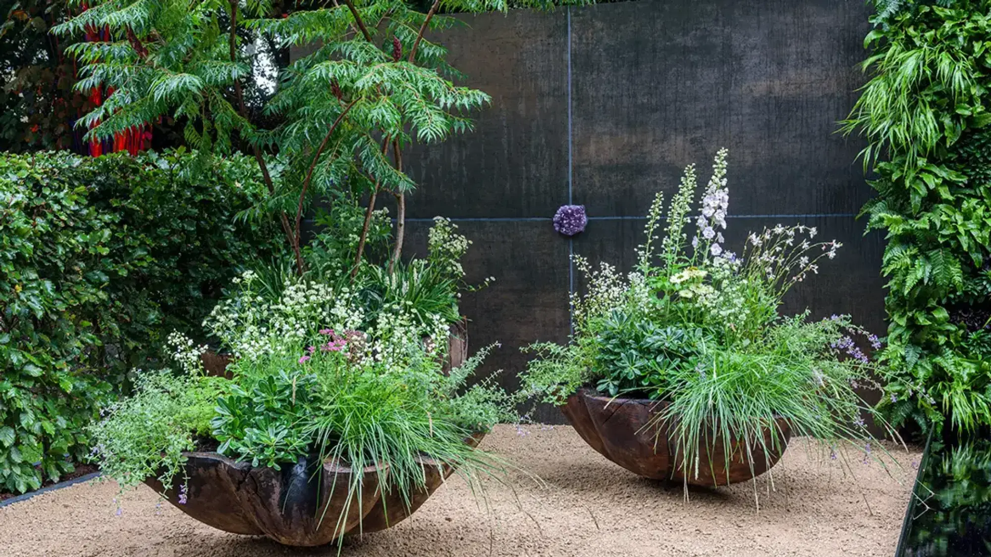 A contemporary container garden with two large, dark, bowl-shaped wooden planters overflowing with green foliage, grasses, and white and pale pink flowers, set against a dark textured wall featuring a central purple floral sphere and a lush vertical green wall.
