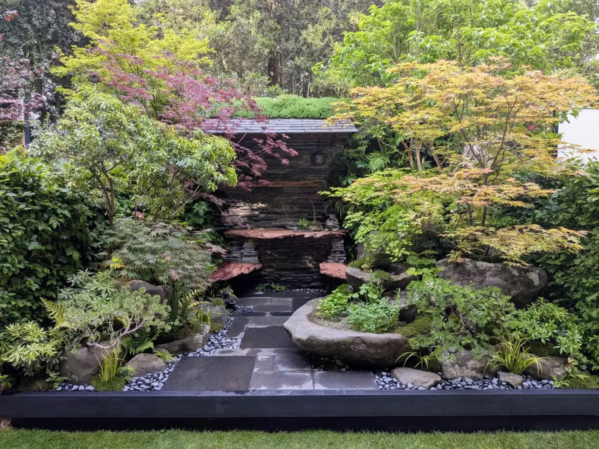 A lush Japanese-style container garden features a tiered stone waterfall, a green roof, red and yellow acers, ferns, and stepping stones leading past a large stone basin.