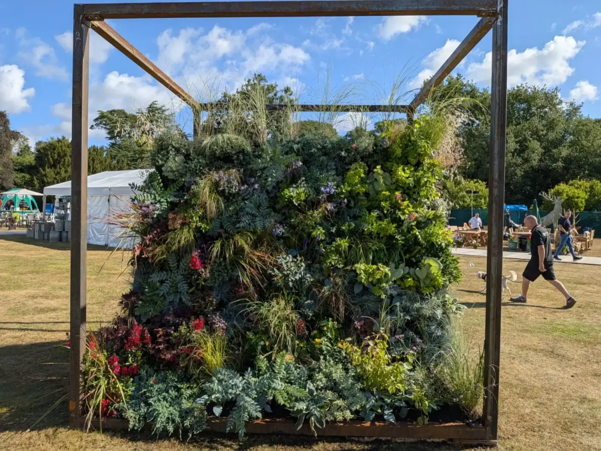 A dense vertical garden featuring mixed green, grey-green, and colourful flowering plants, contained within a rusty brown metal cube frame.