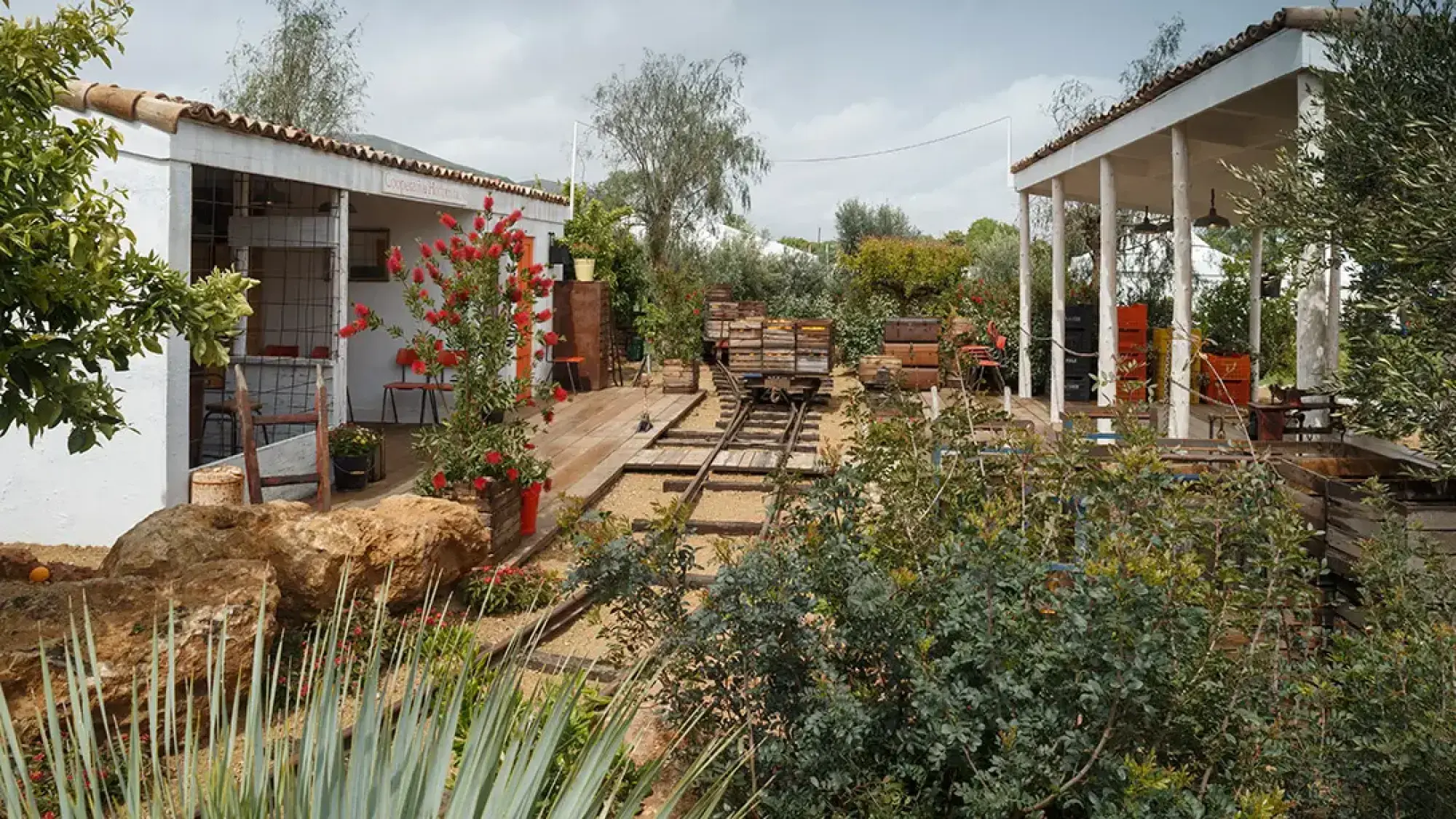 A rustic Mediterranean garden showcases train tracks with a wooden railway cart, white stucco buildings, olive trees, agave, and vibrant red bottle brush flowers.